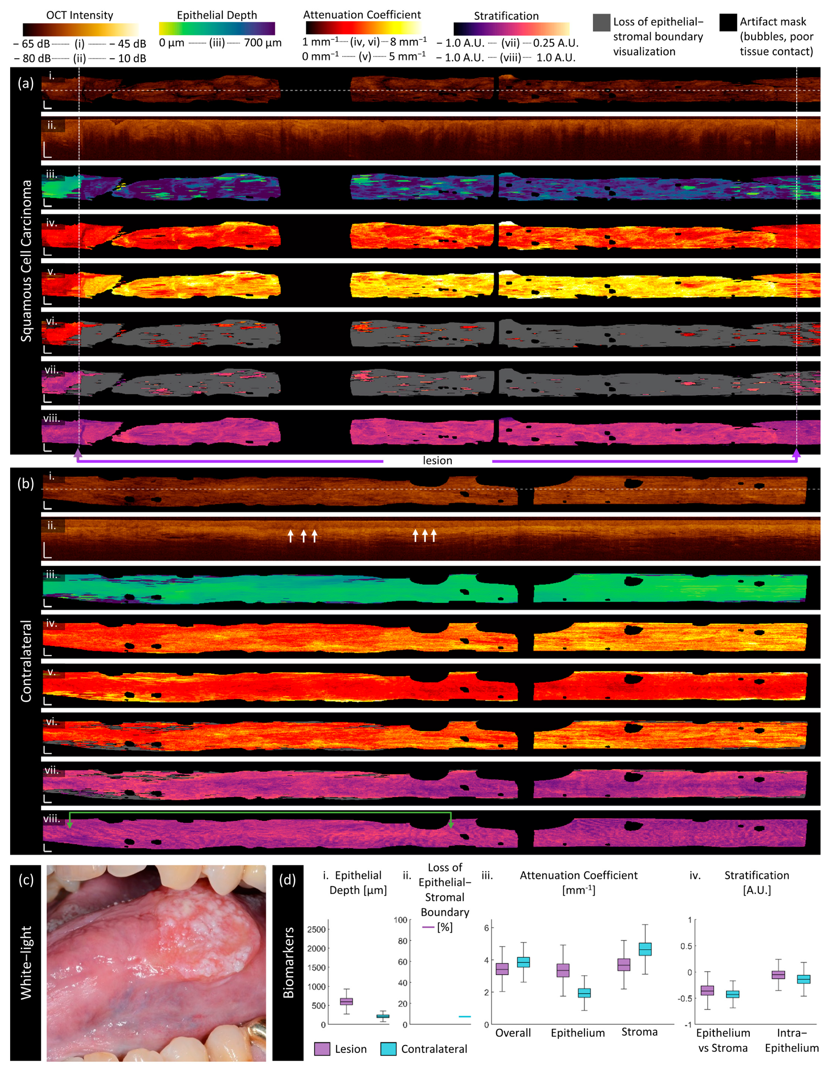 Cancers 16 02751 g008