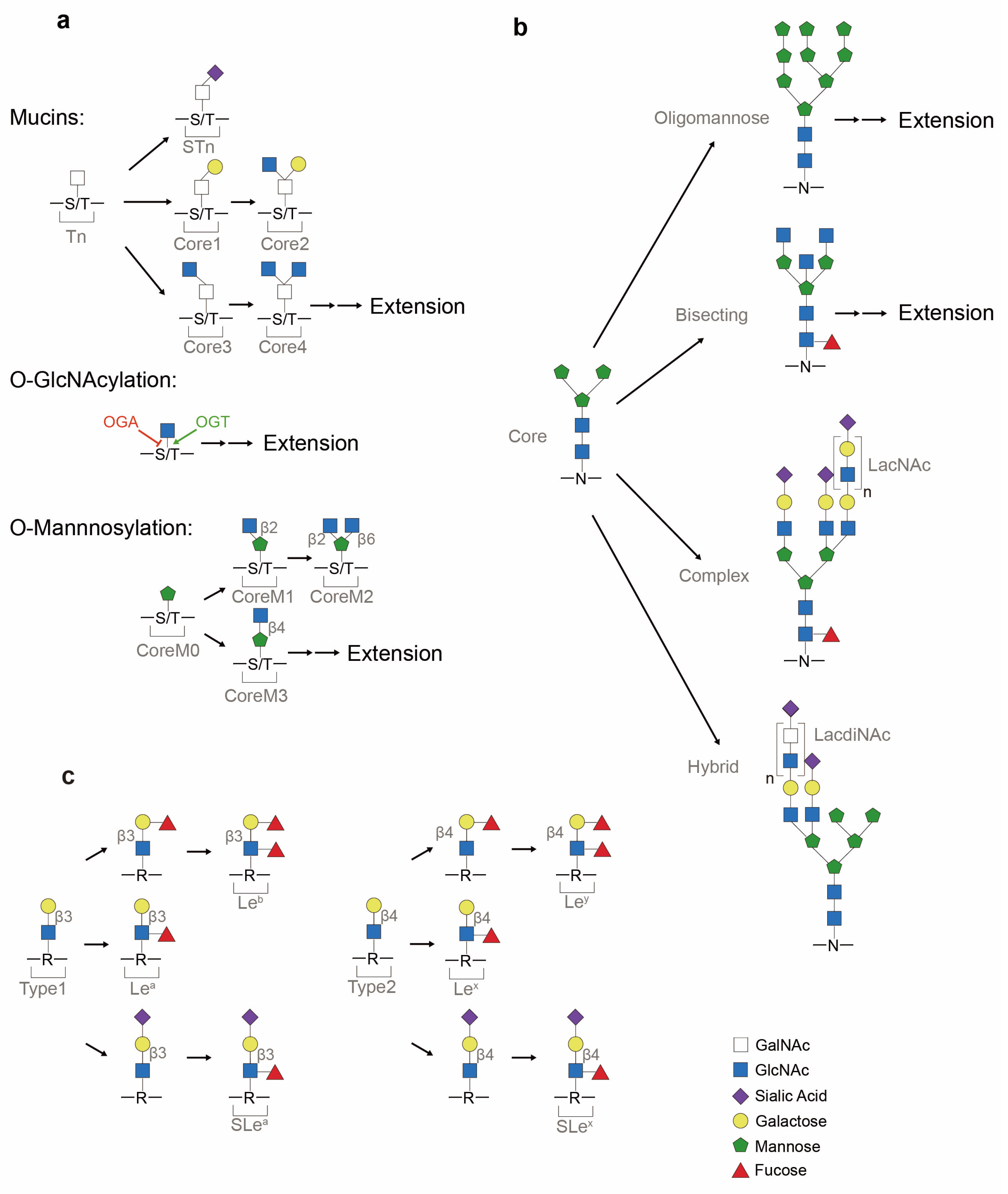 Cancers 16 02753 g002 Cancers 16 02753 g002