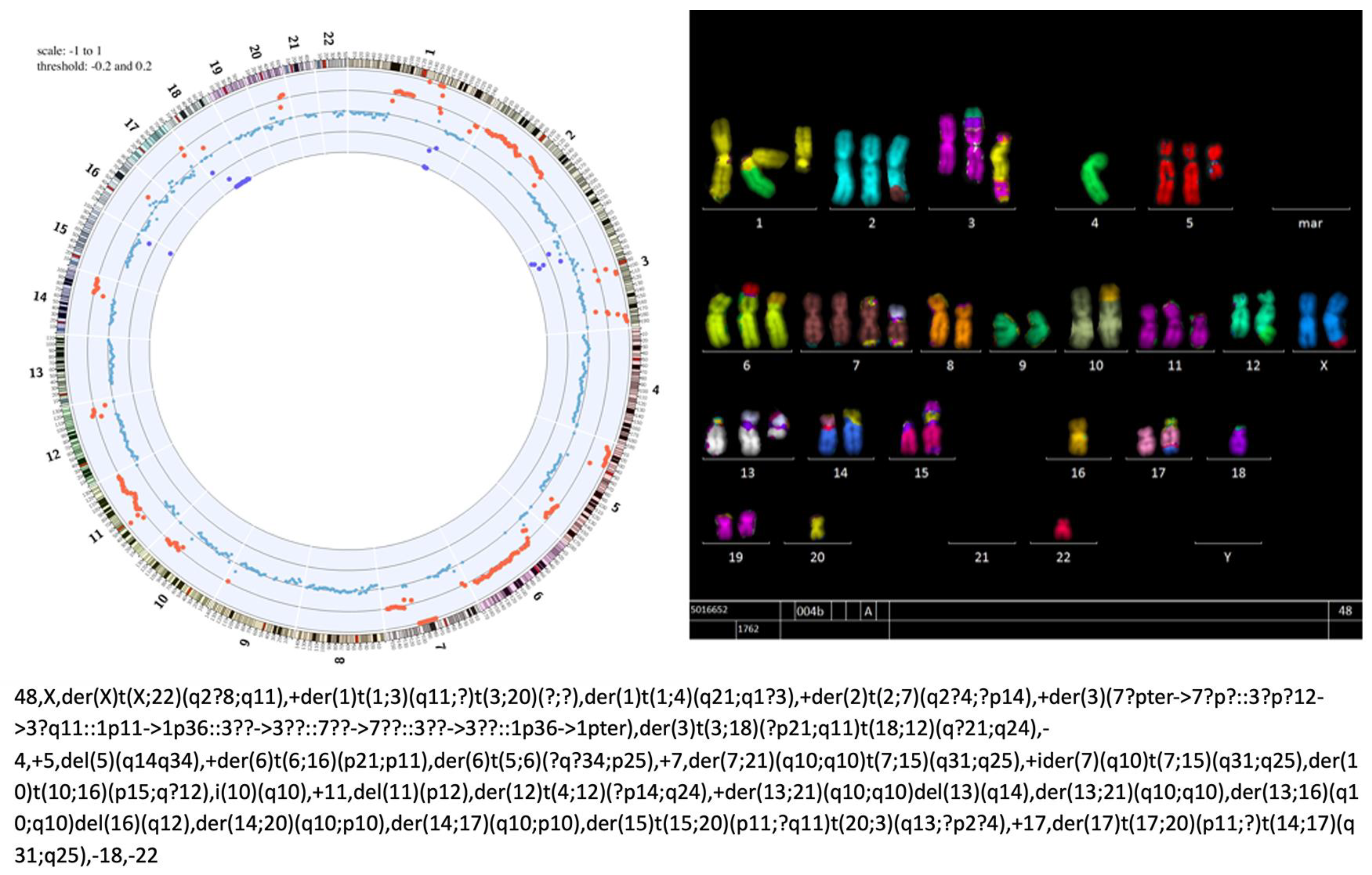 Cancers 16 02762 g001