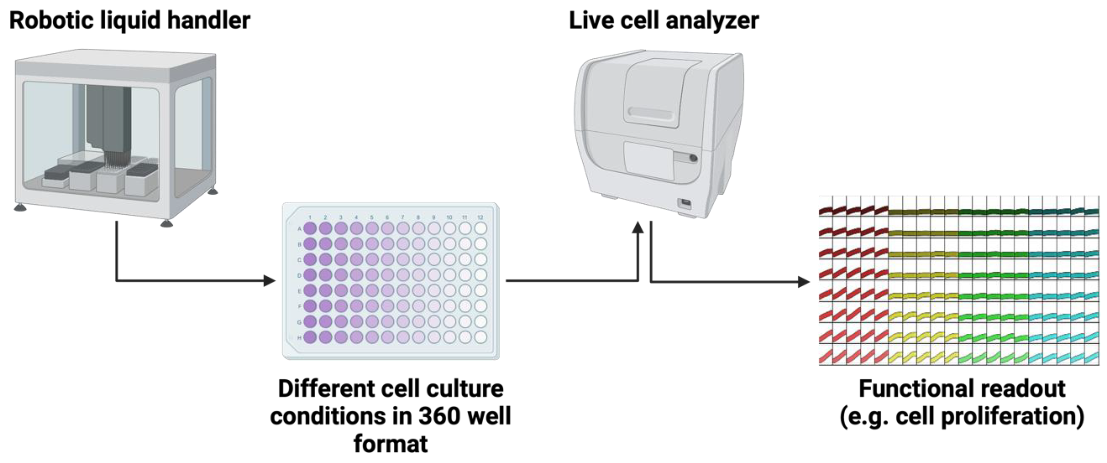Cancers 16 02762 g004