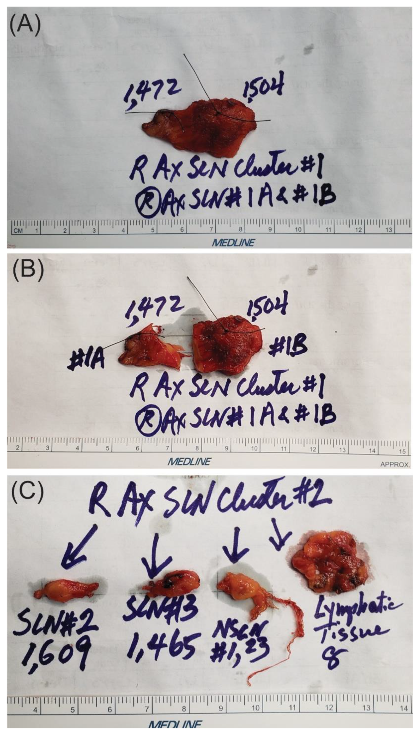Cancers 16 02767 g007