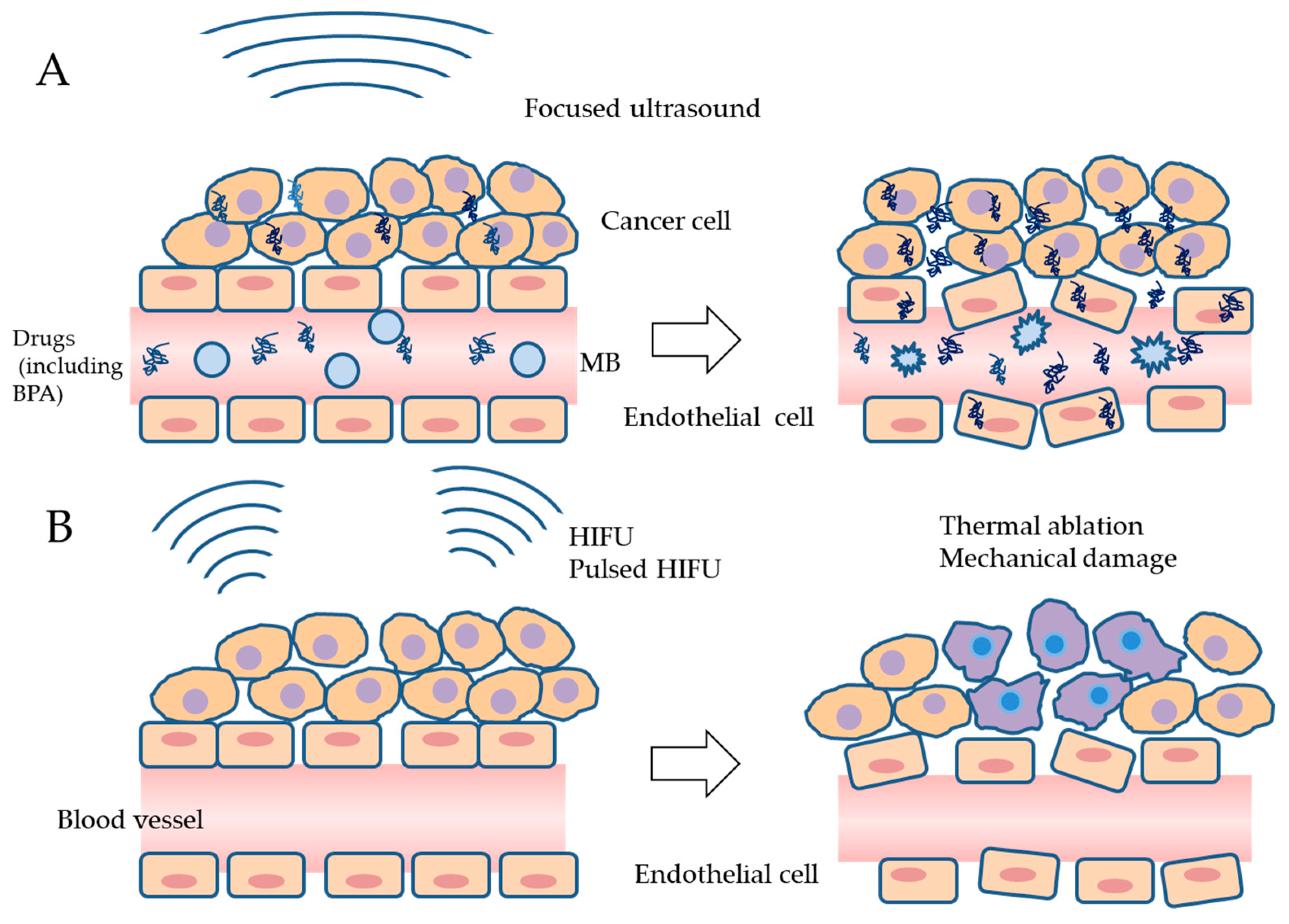 Cancers 16 02770 g002