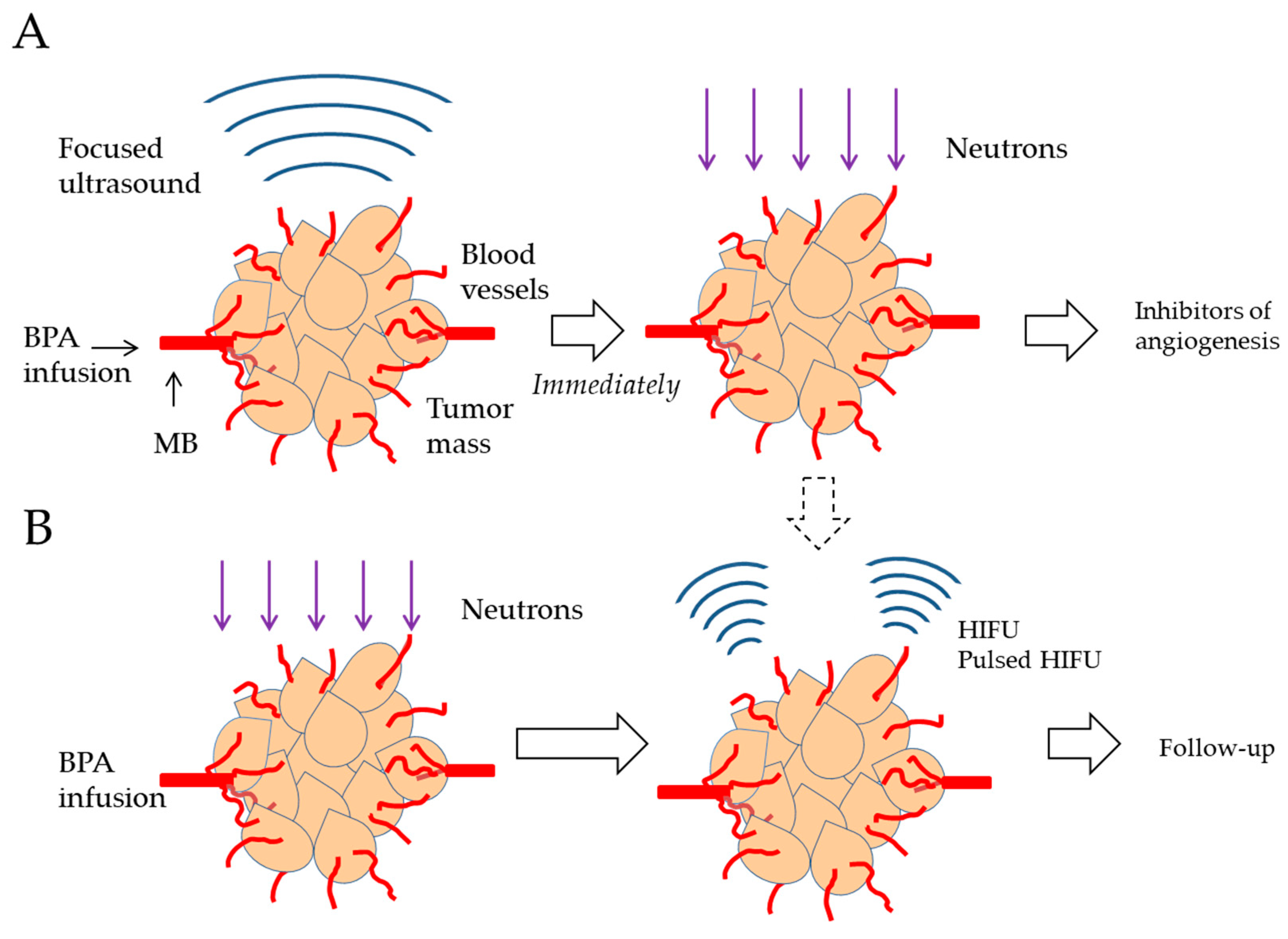 Cancers 16 02770 g003