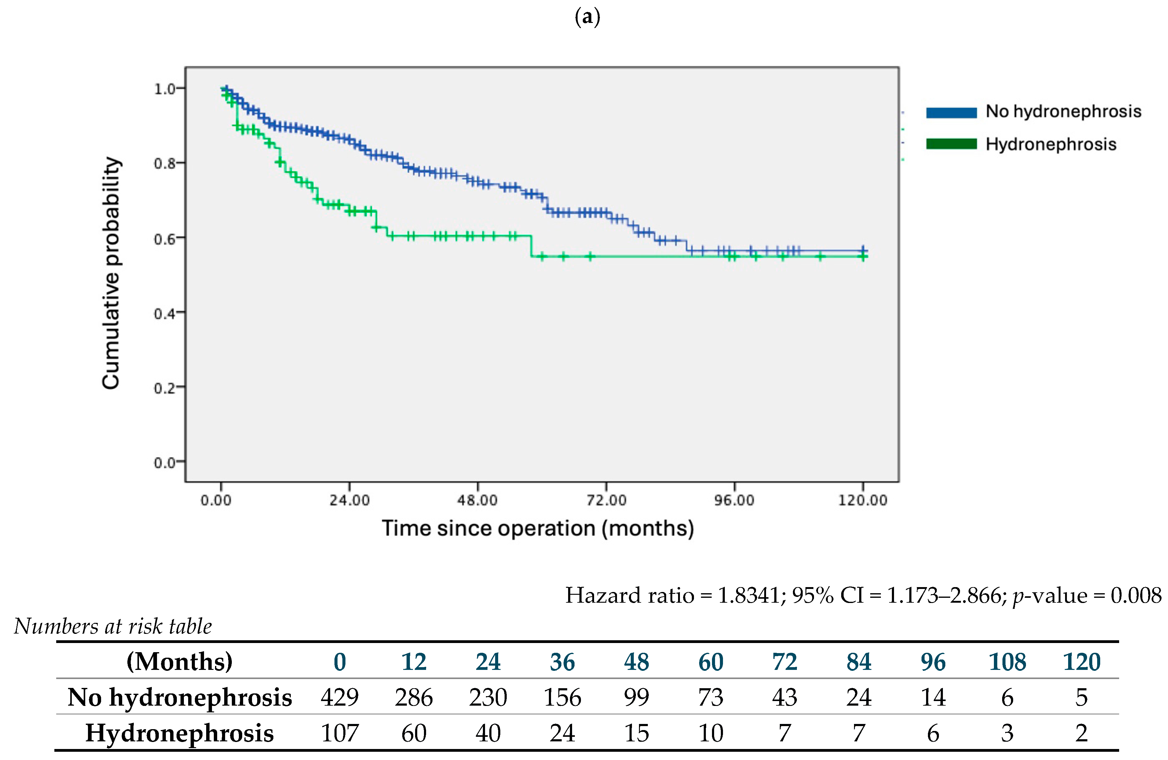 Cancers 16 02826 g002a