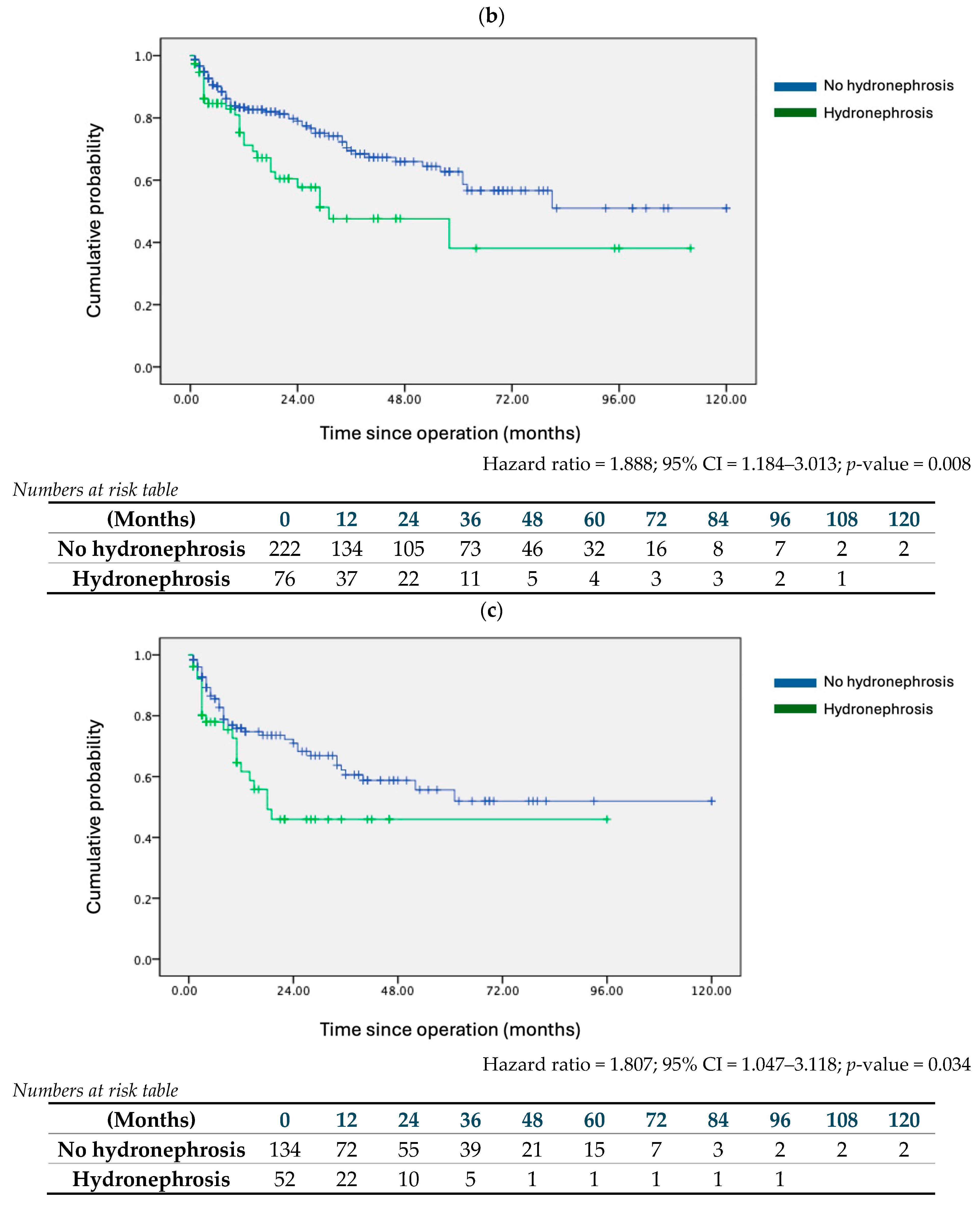 Cancers 16 02826 g002b