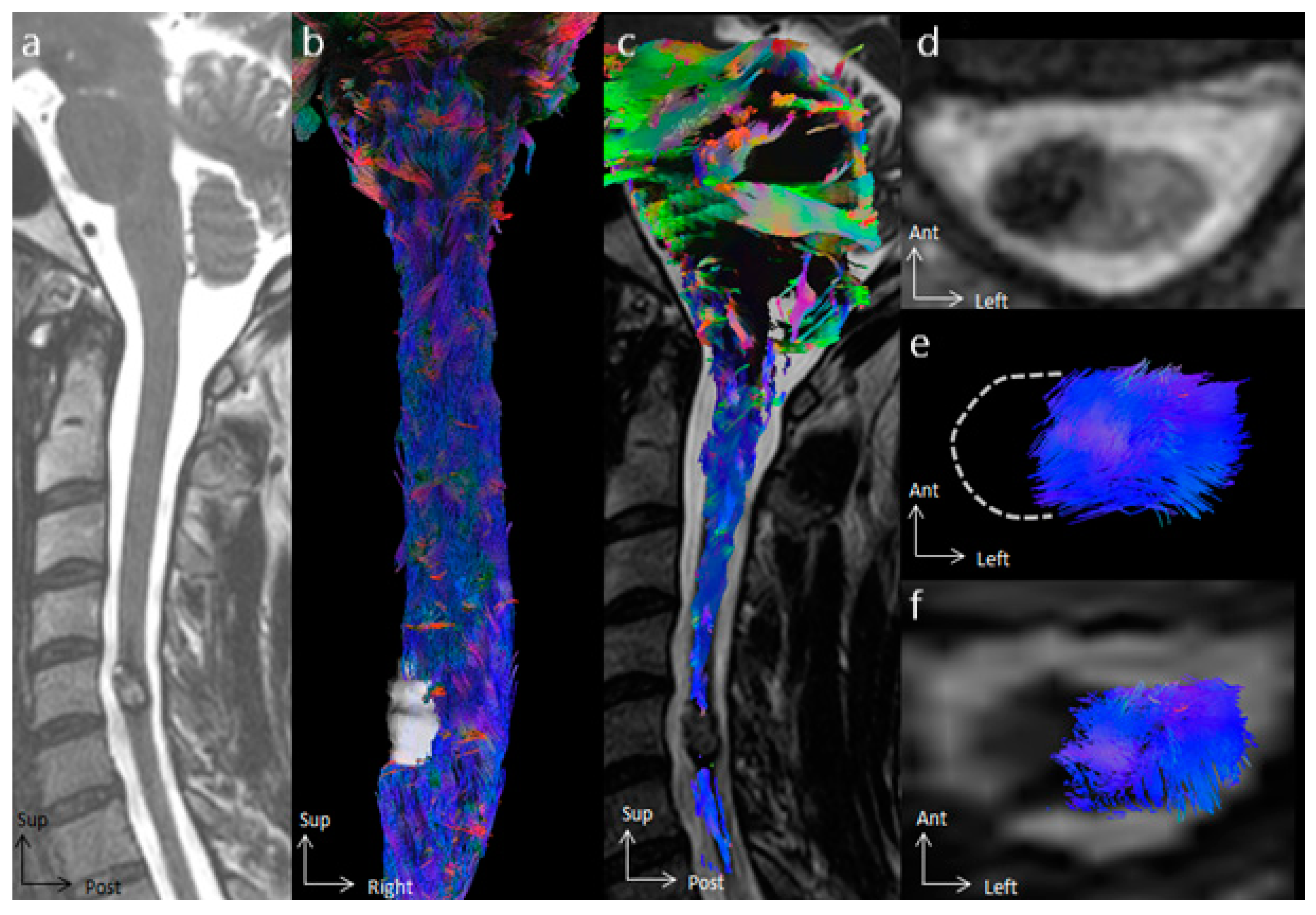 Cancers 16 02834 g001
