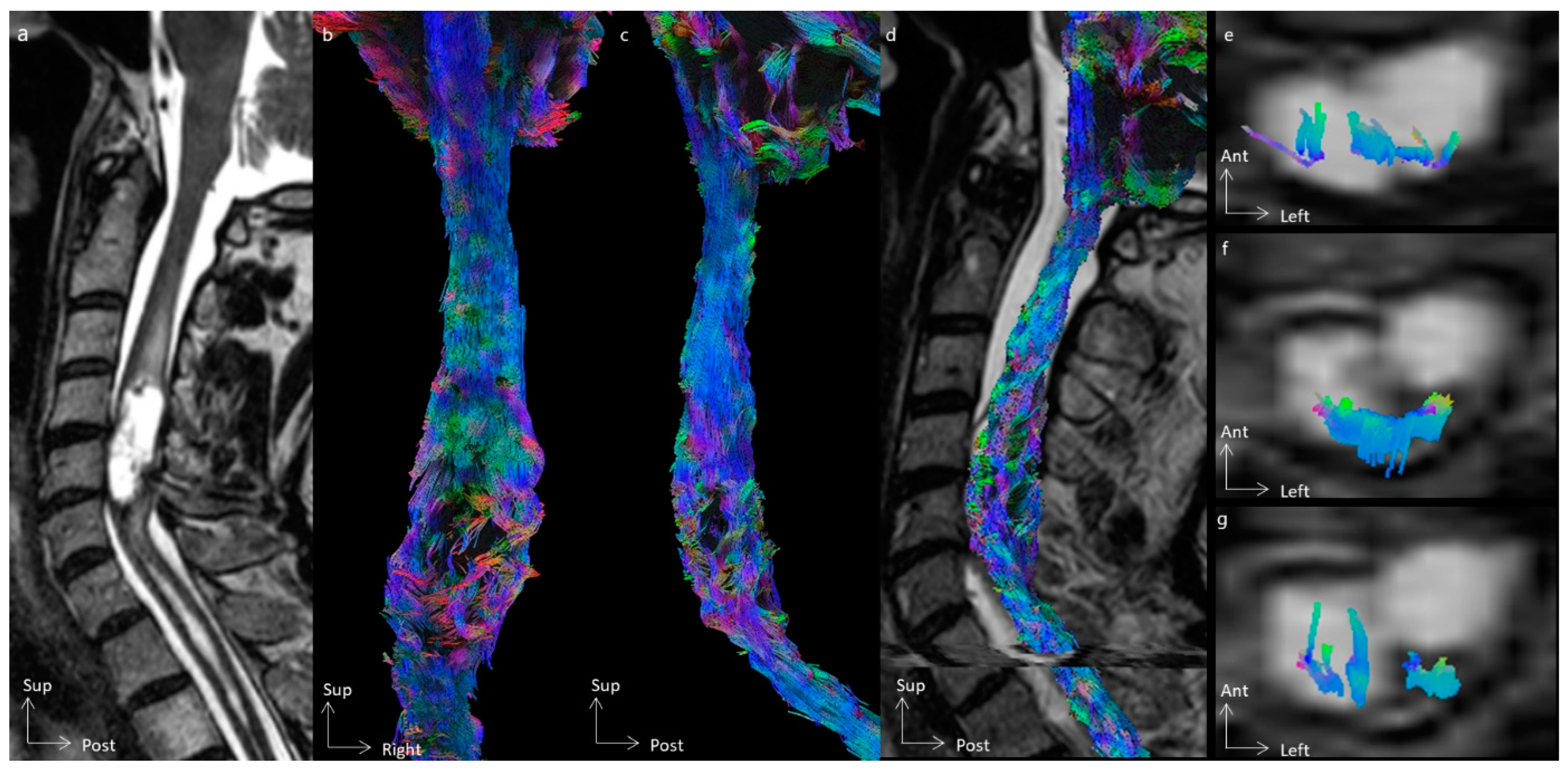 Cancers 16 02834 g003