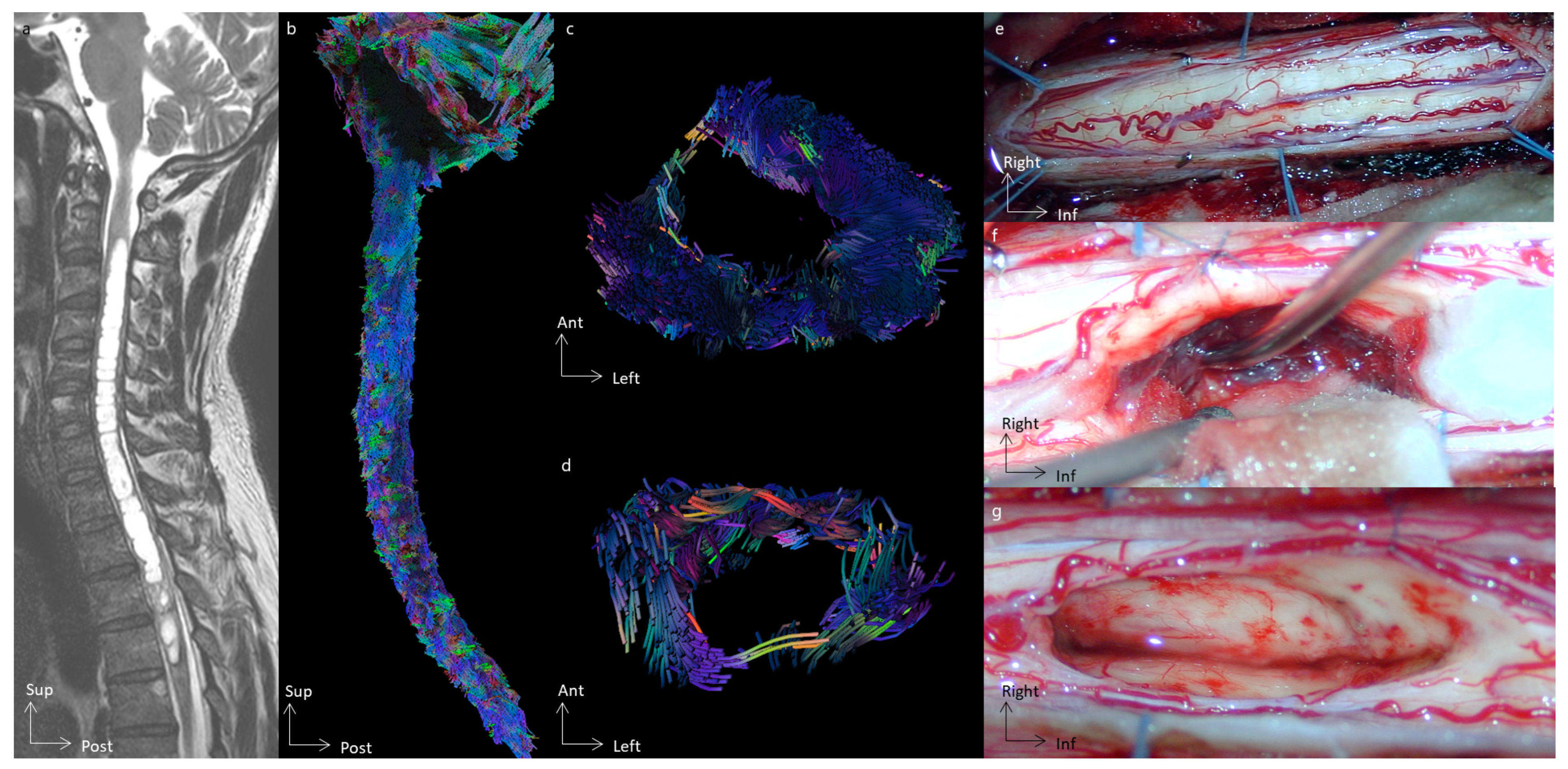 Cancers 16 02834 g004