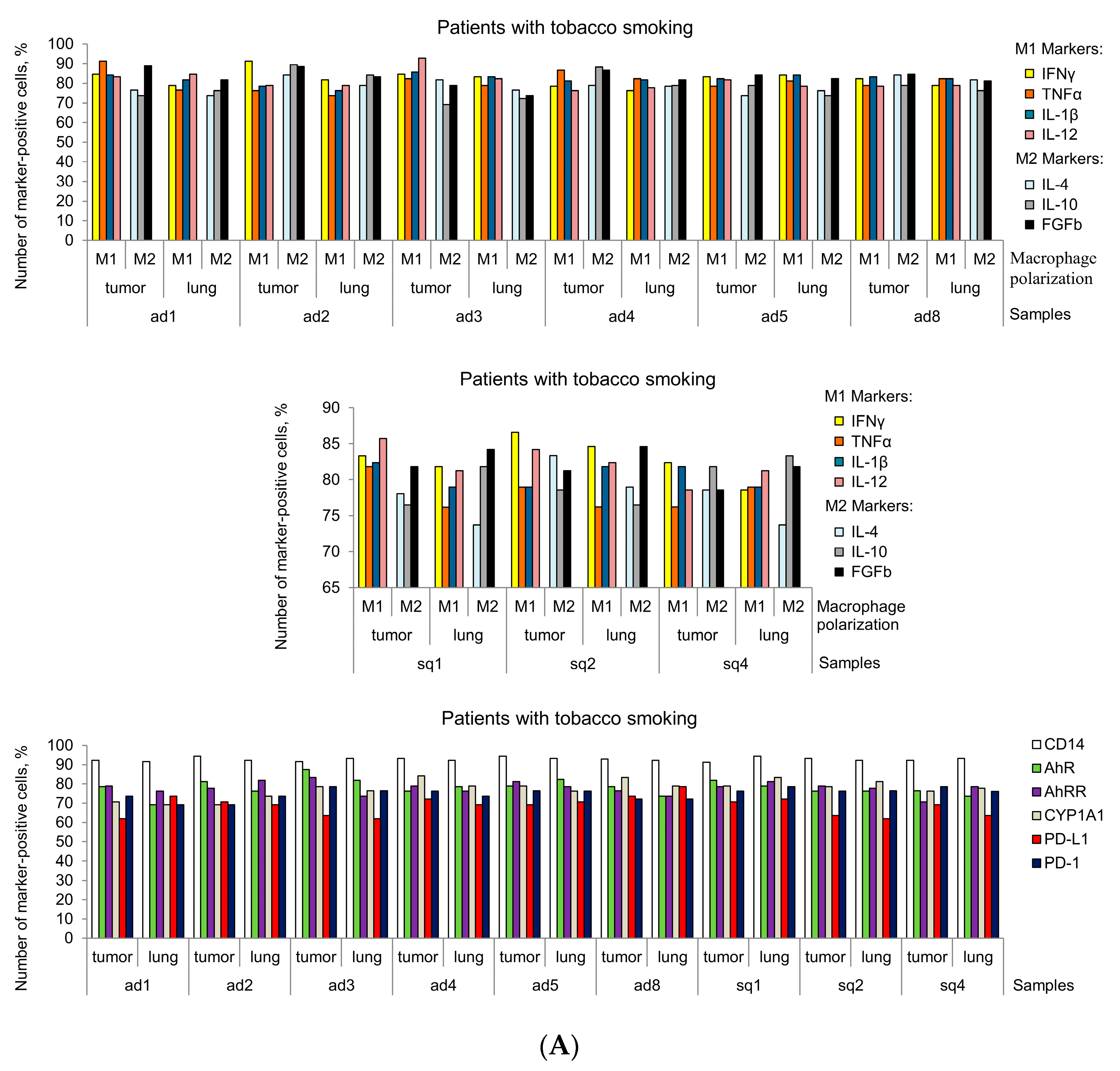 Cancers 16 02886 g006a