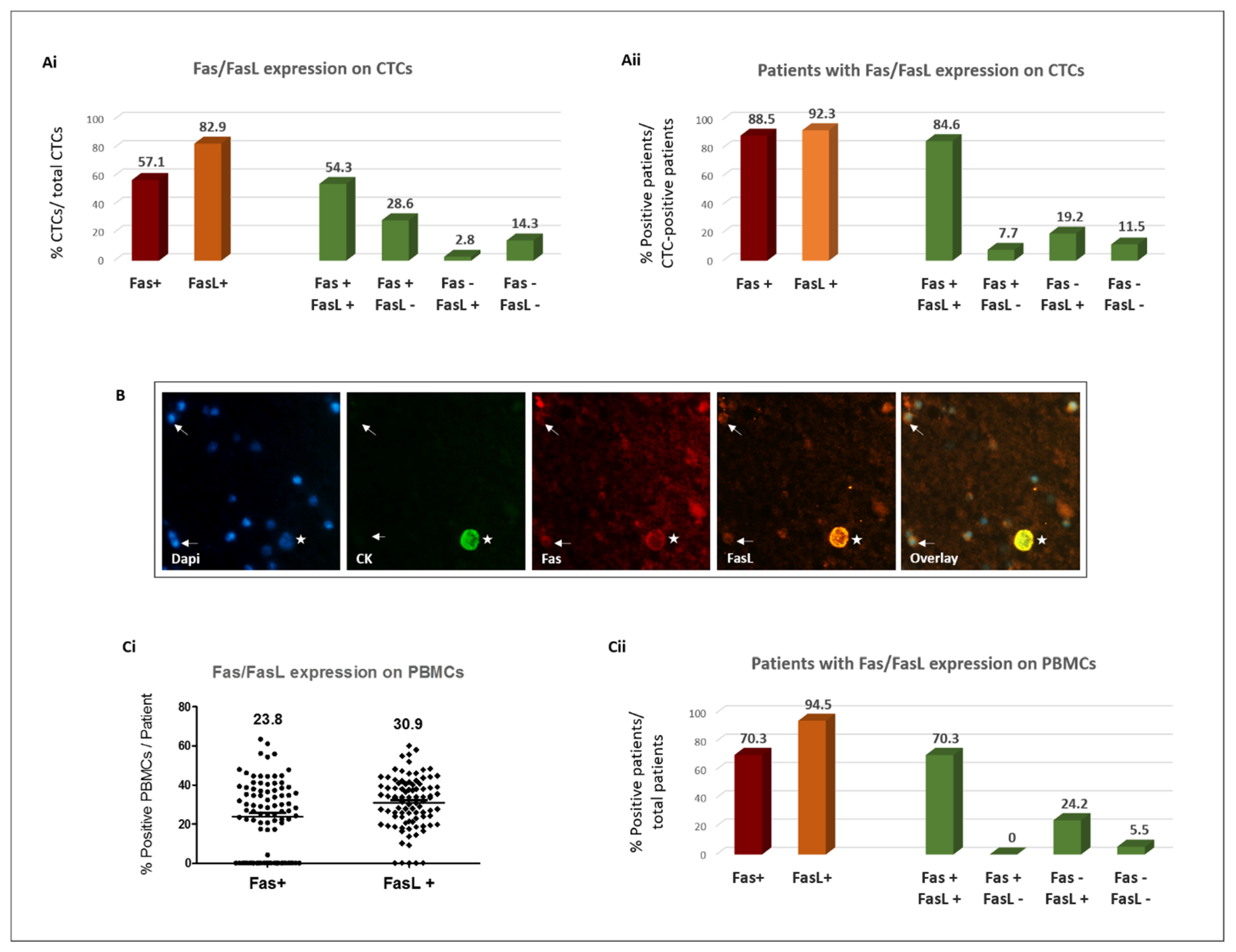 Cancers 16 02927 g001