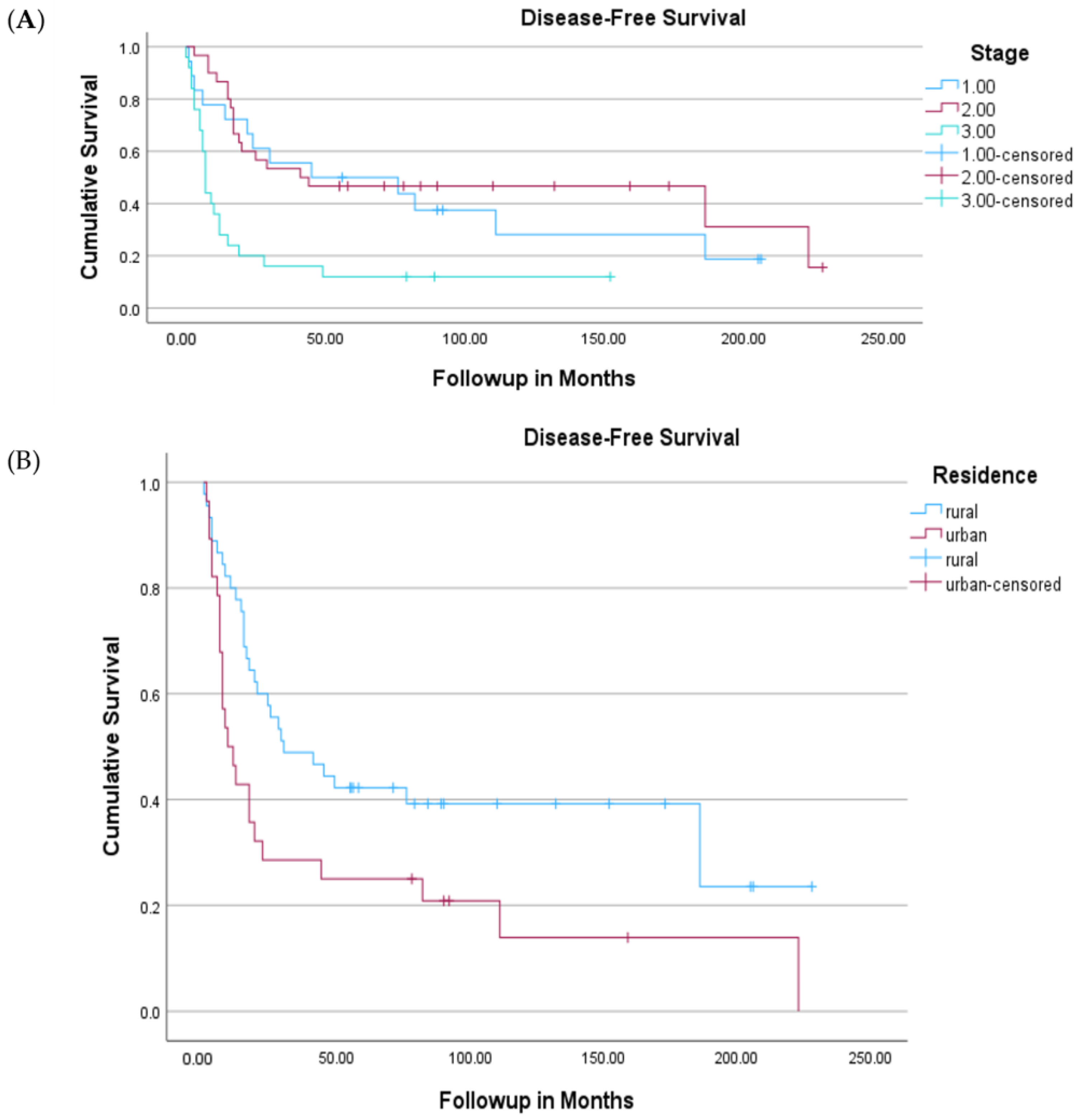 Cancers 16 02932 g002
