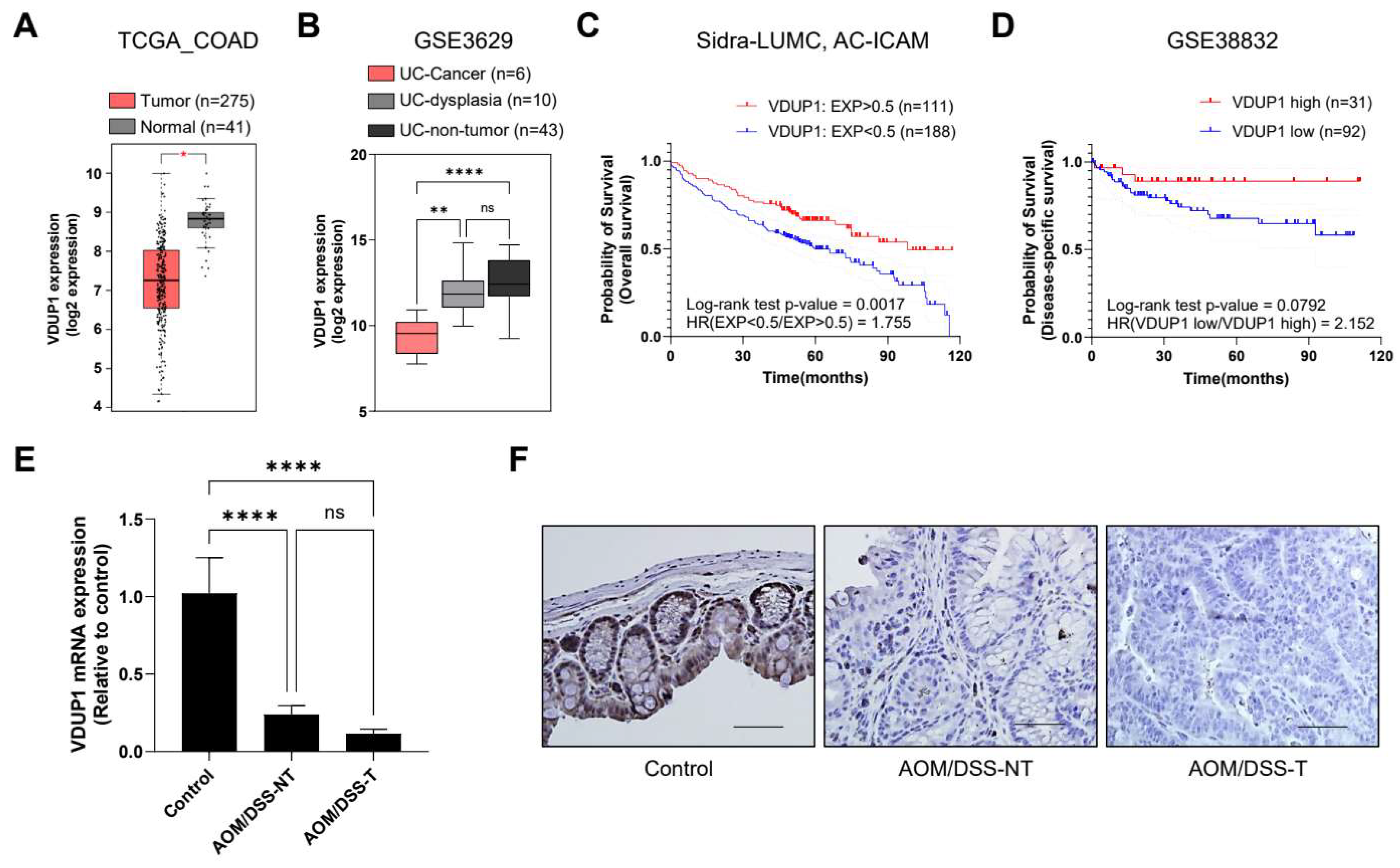 Cancers 16 02934 g001 Cancers 16 02934 g001