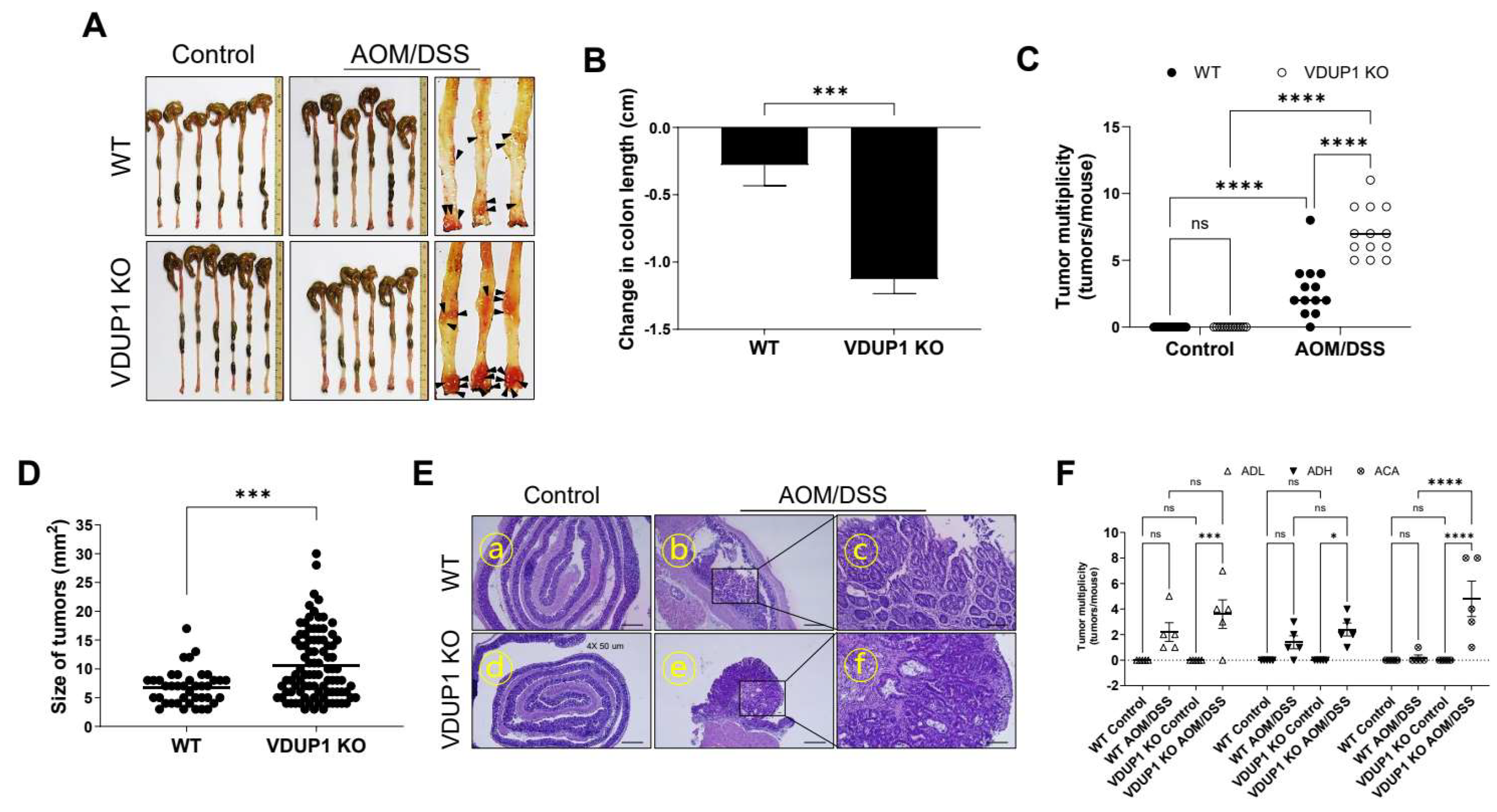 Cancers 16 02934 g003 Cancers 16 02934 g003