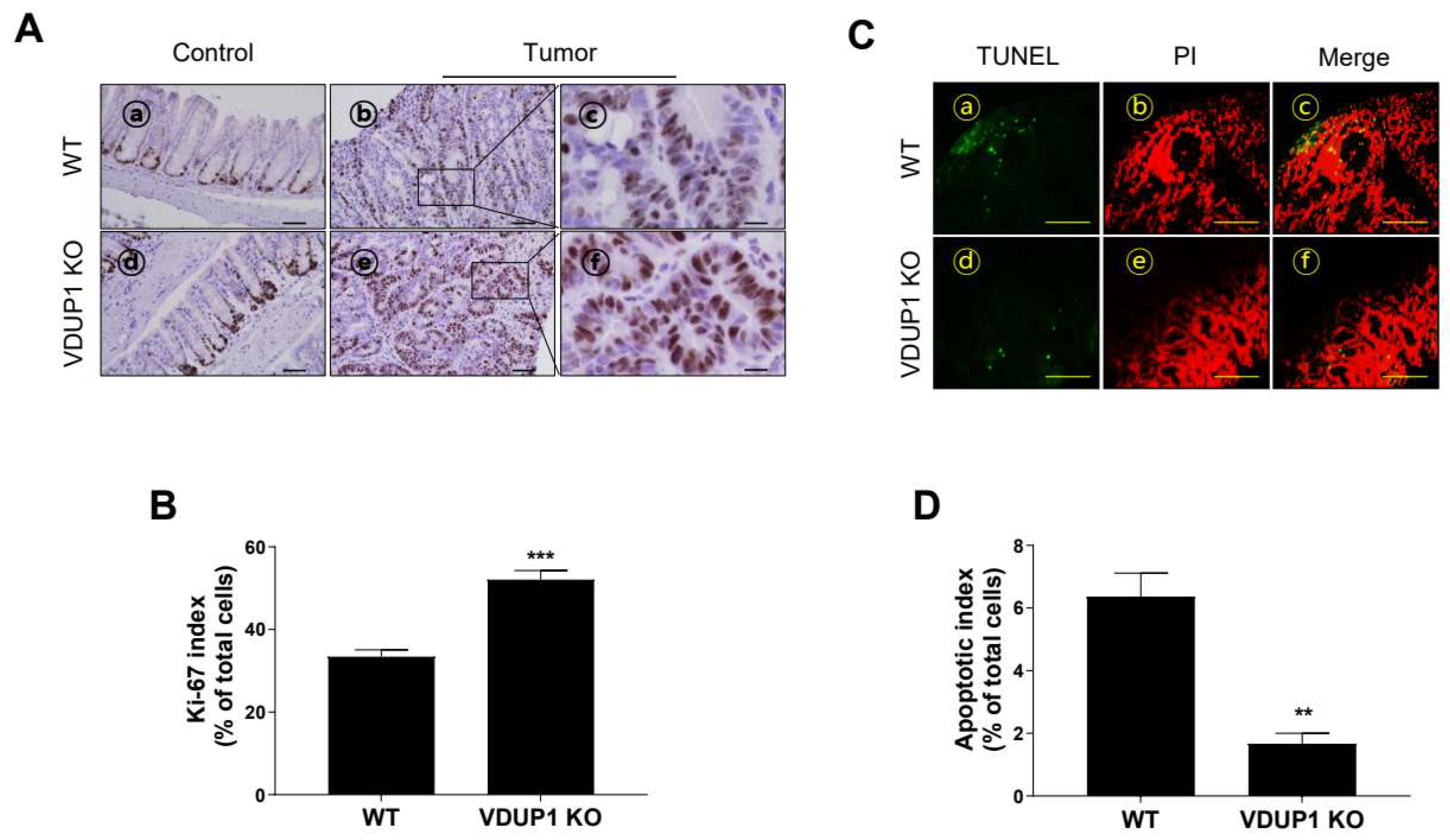 Cancers 16 02934 g004 Cancers 16 02934 g004