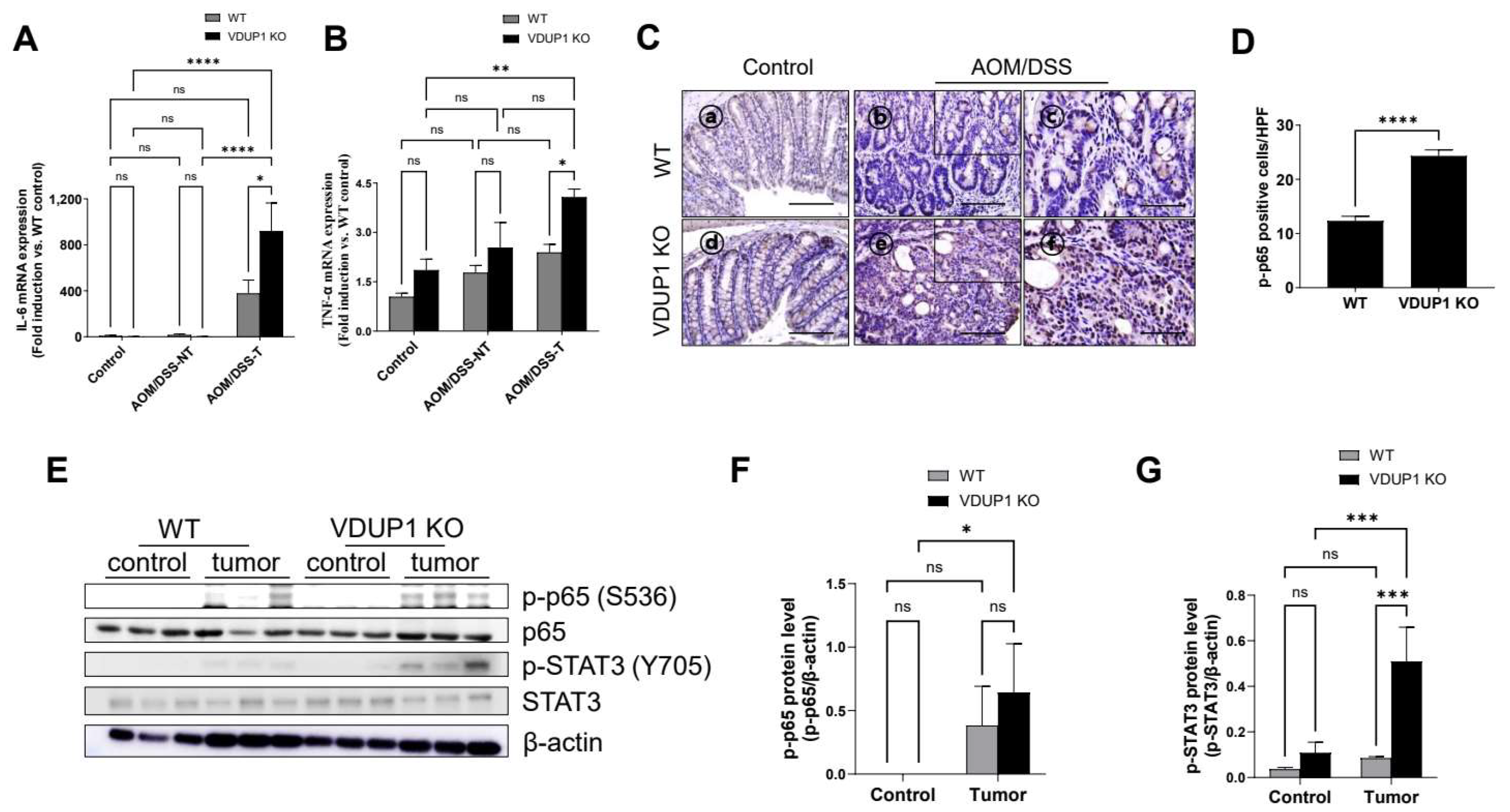 Cancers 16 02934 g006 Cancers 16 02934 g006