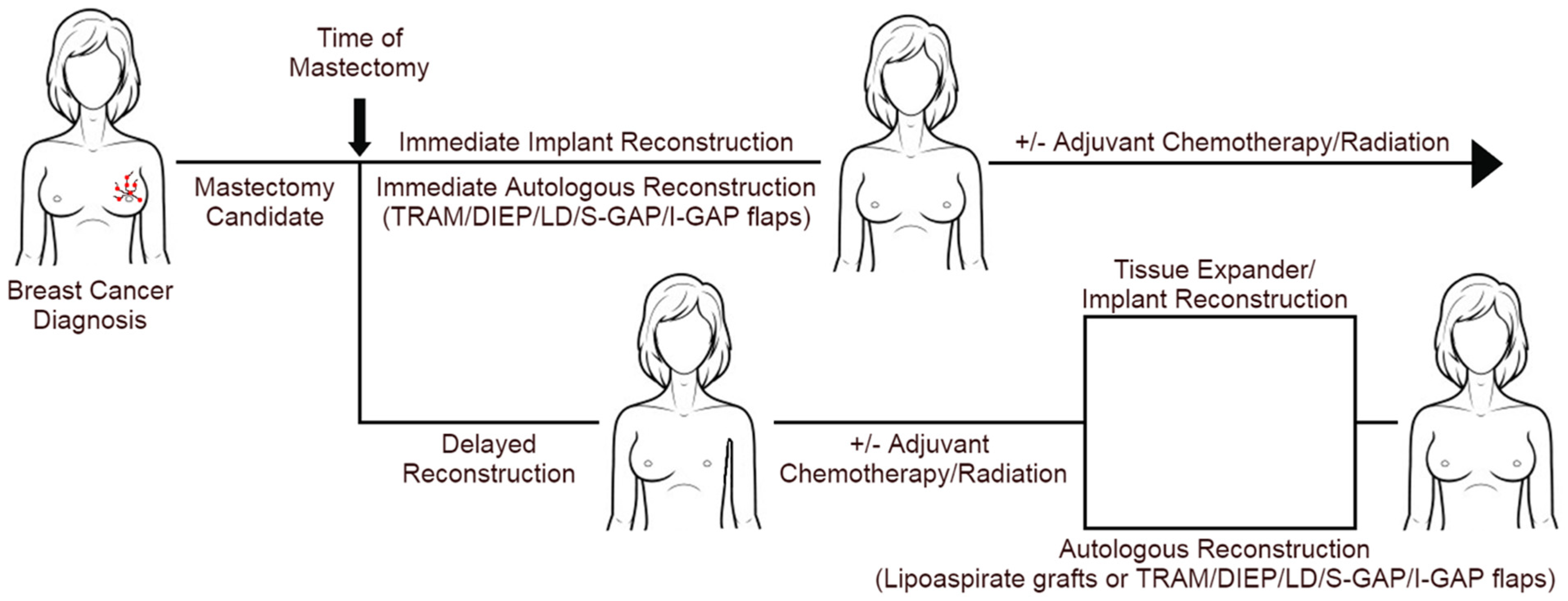 Cancers 16 02939 g001