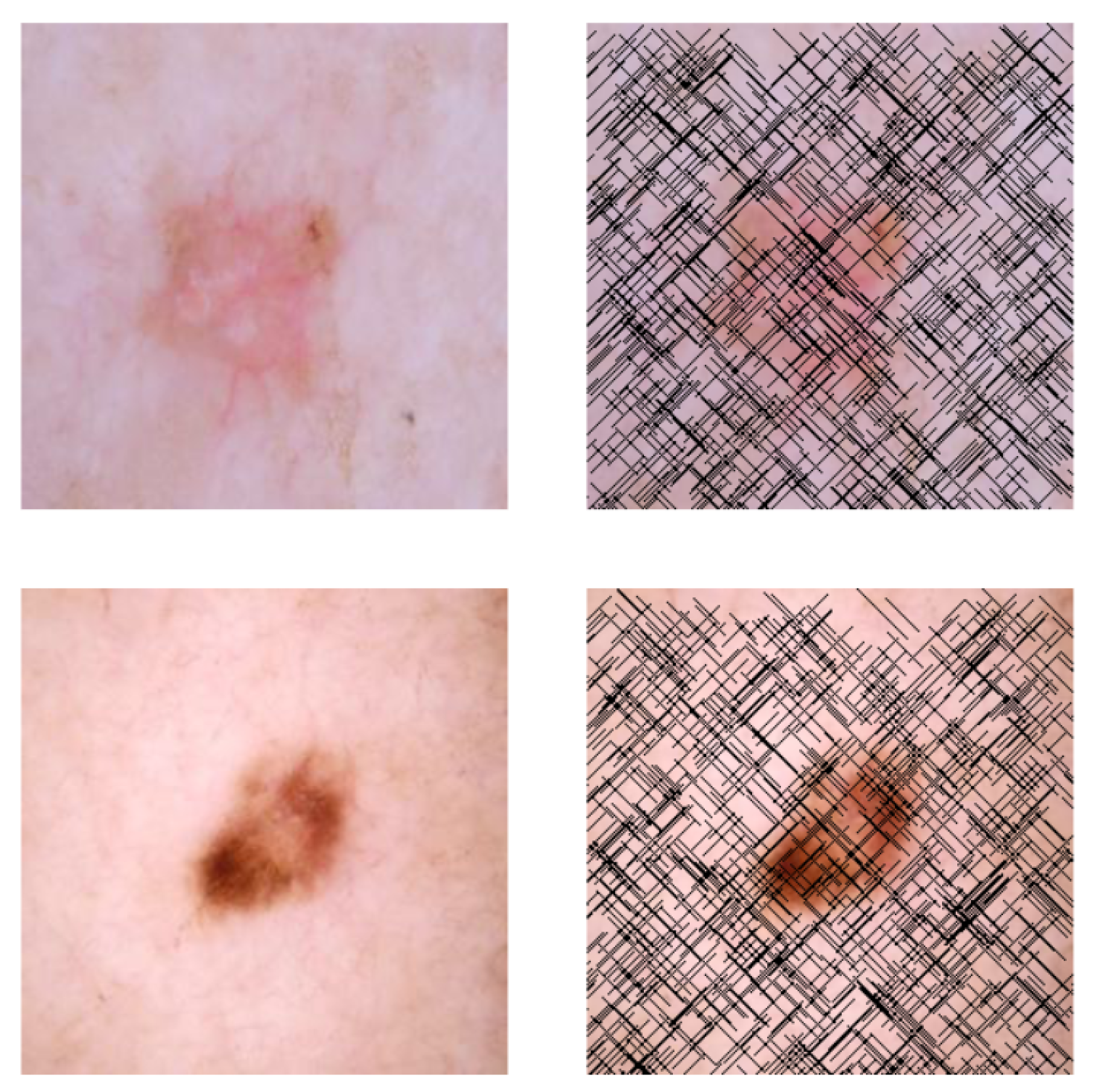 Cancers 16 02947 g003