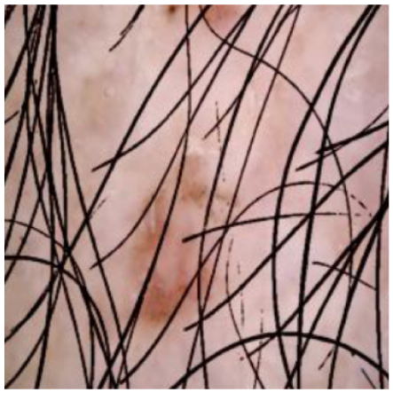 Cancers 16 02947 i002