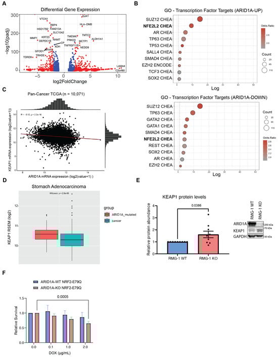 Cancers 16 02949 g003