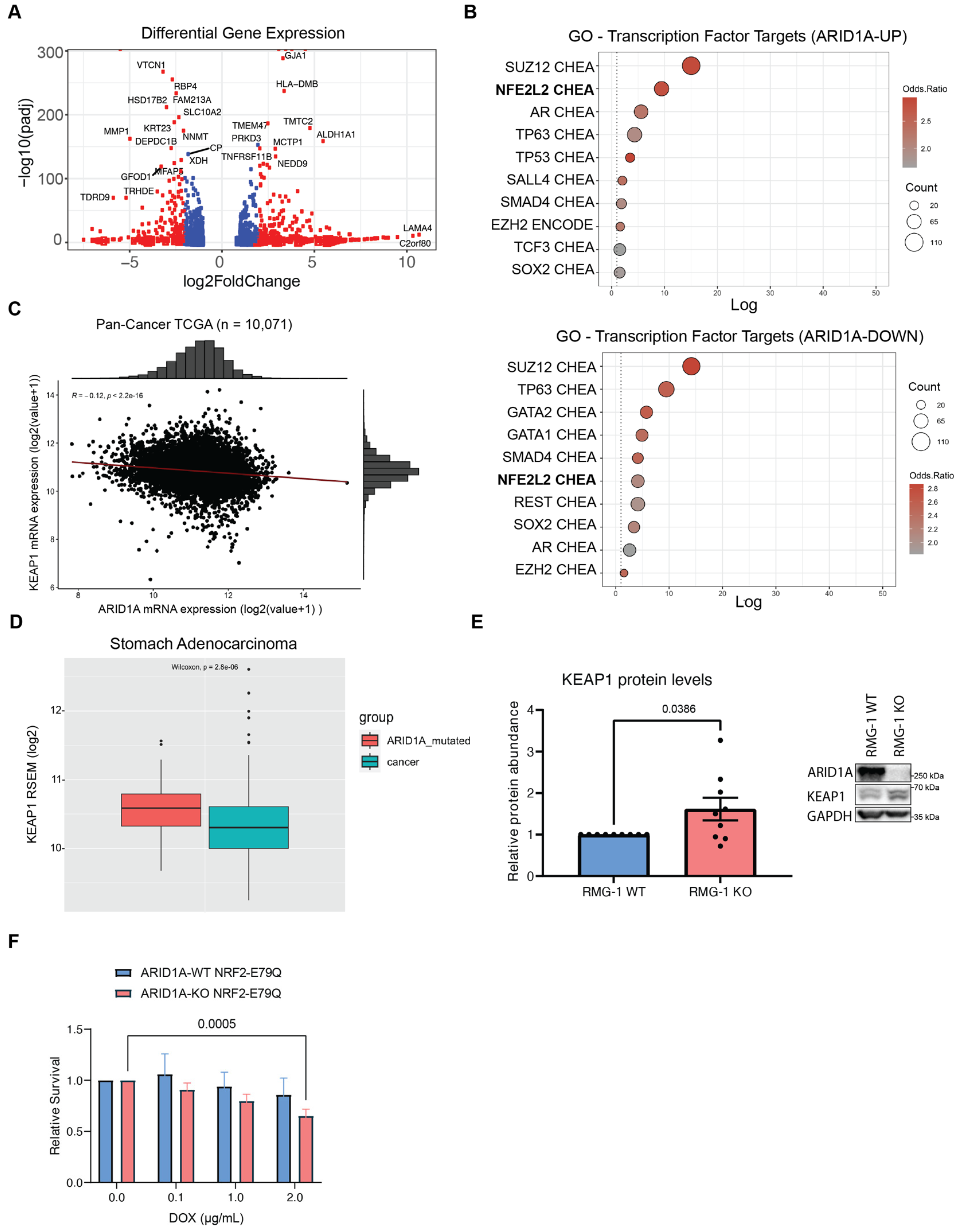 Cancers 16 02949 g003