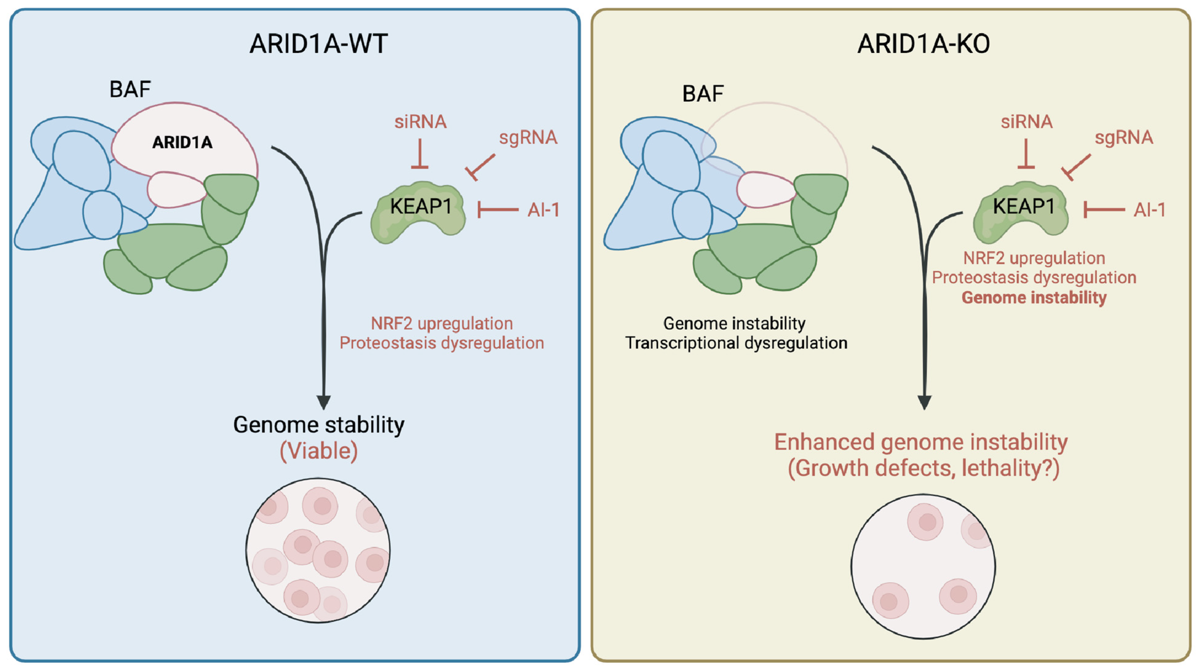 Cancers 16 02949 g005