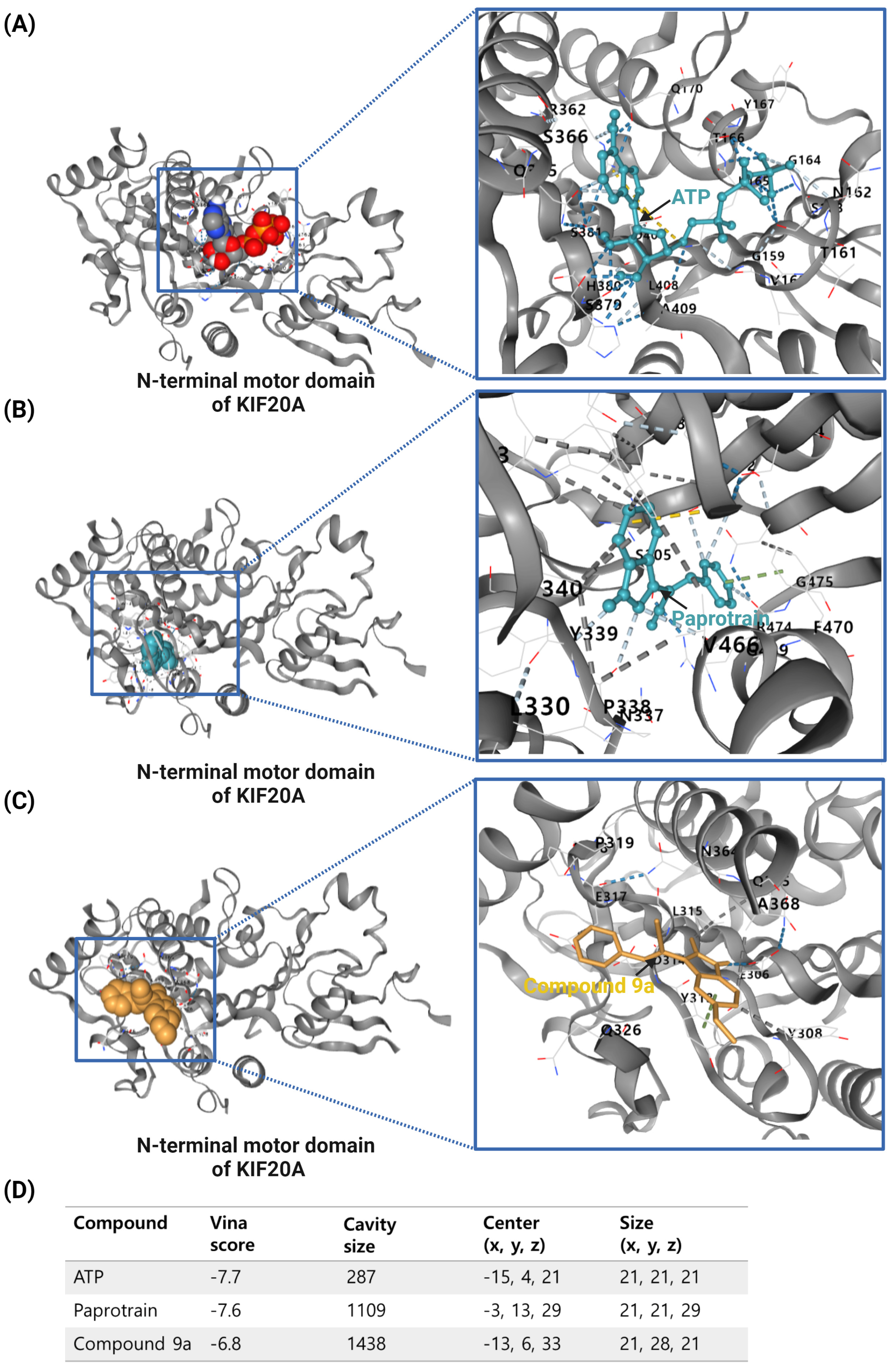 Cancers 16 02958 g003