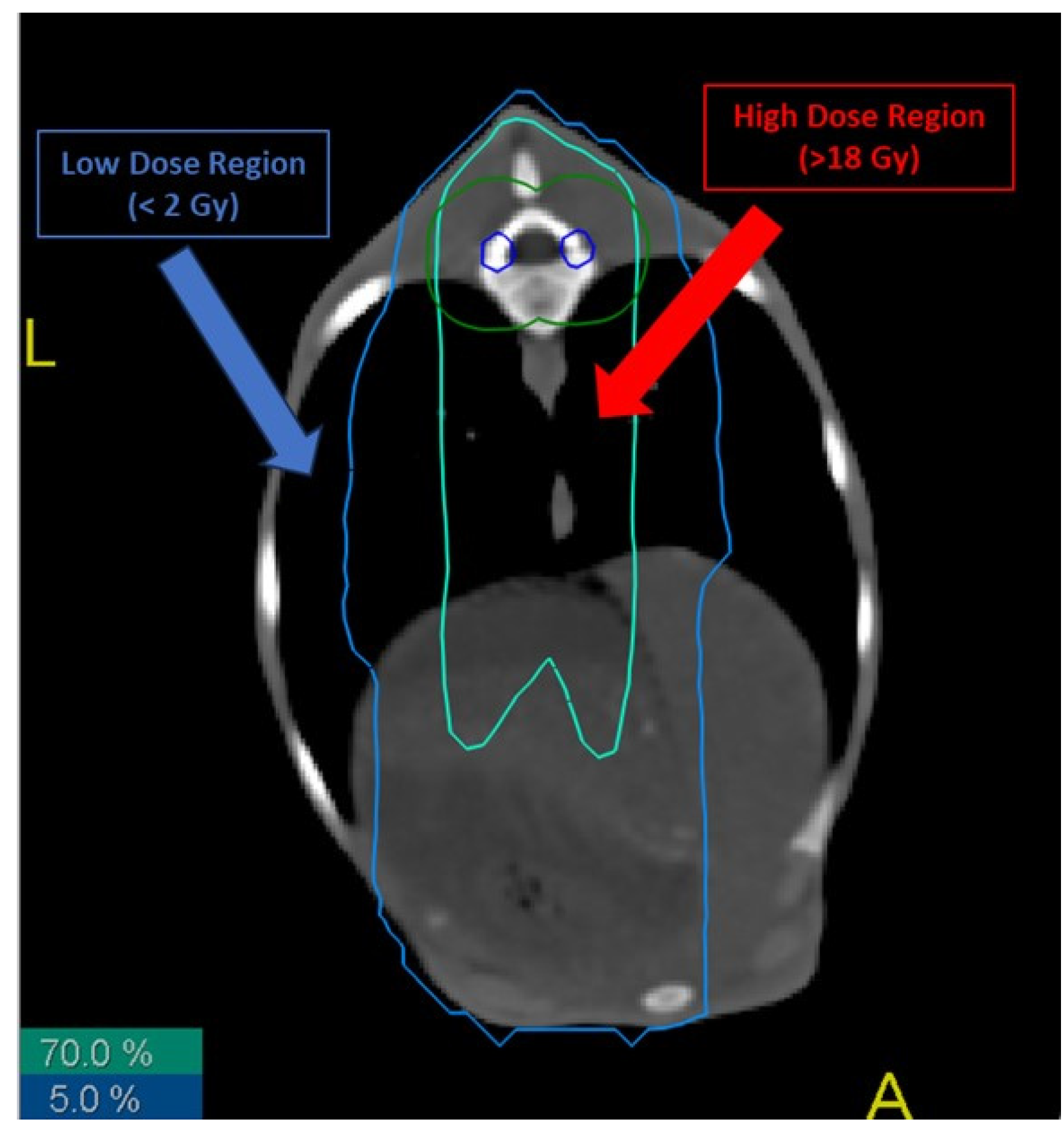 Cancers 16 02968 g001 Cancers 16 02968 g001