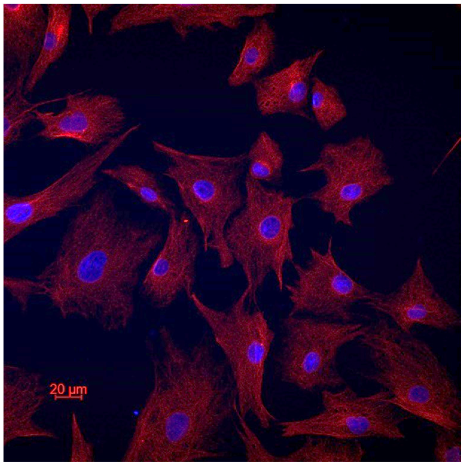 Cancers 16 02968 g002 Cancers 16 02968 g002