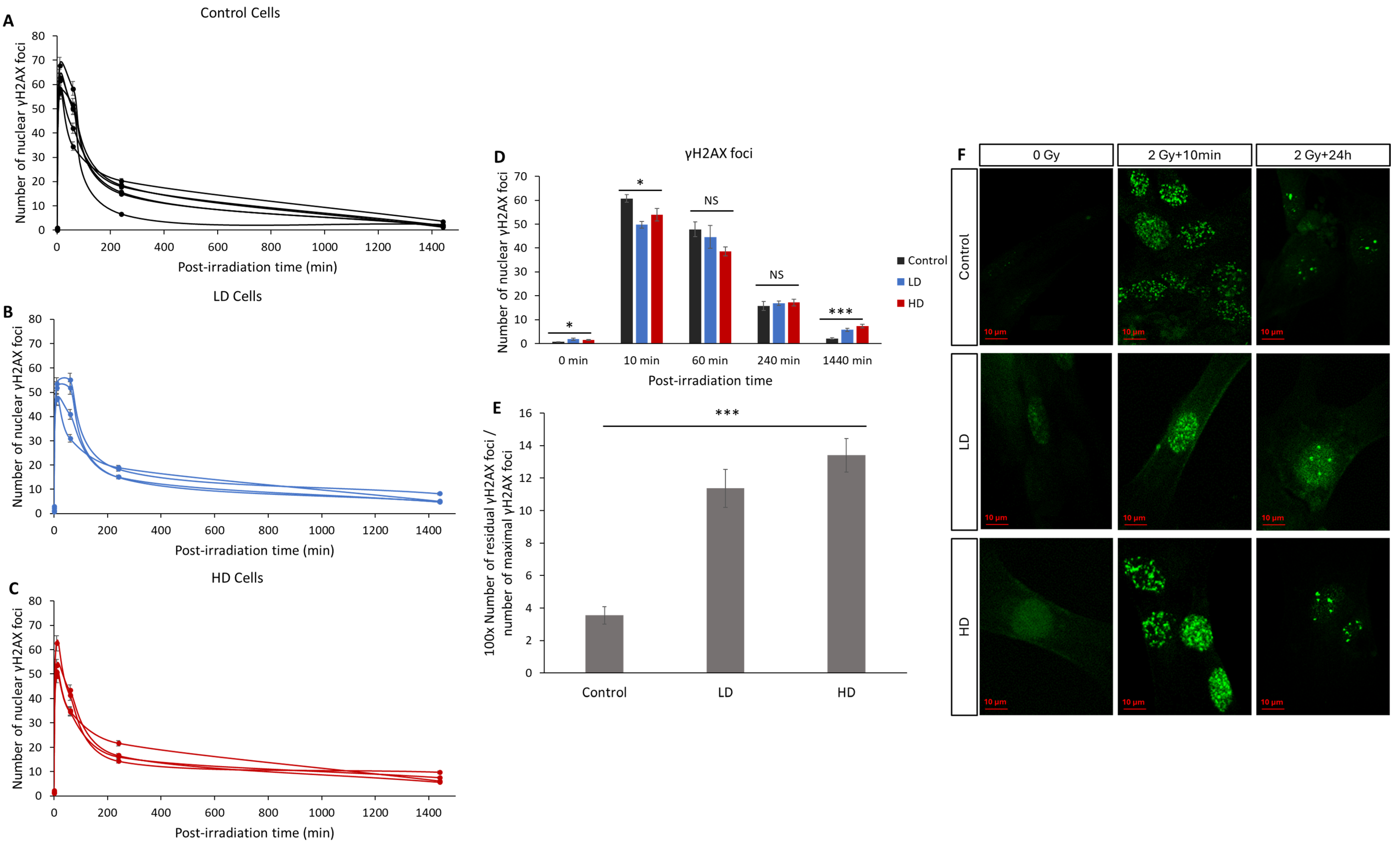 Cancers 16 02968 g004 Cancers 16 02968 g004