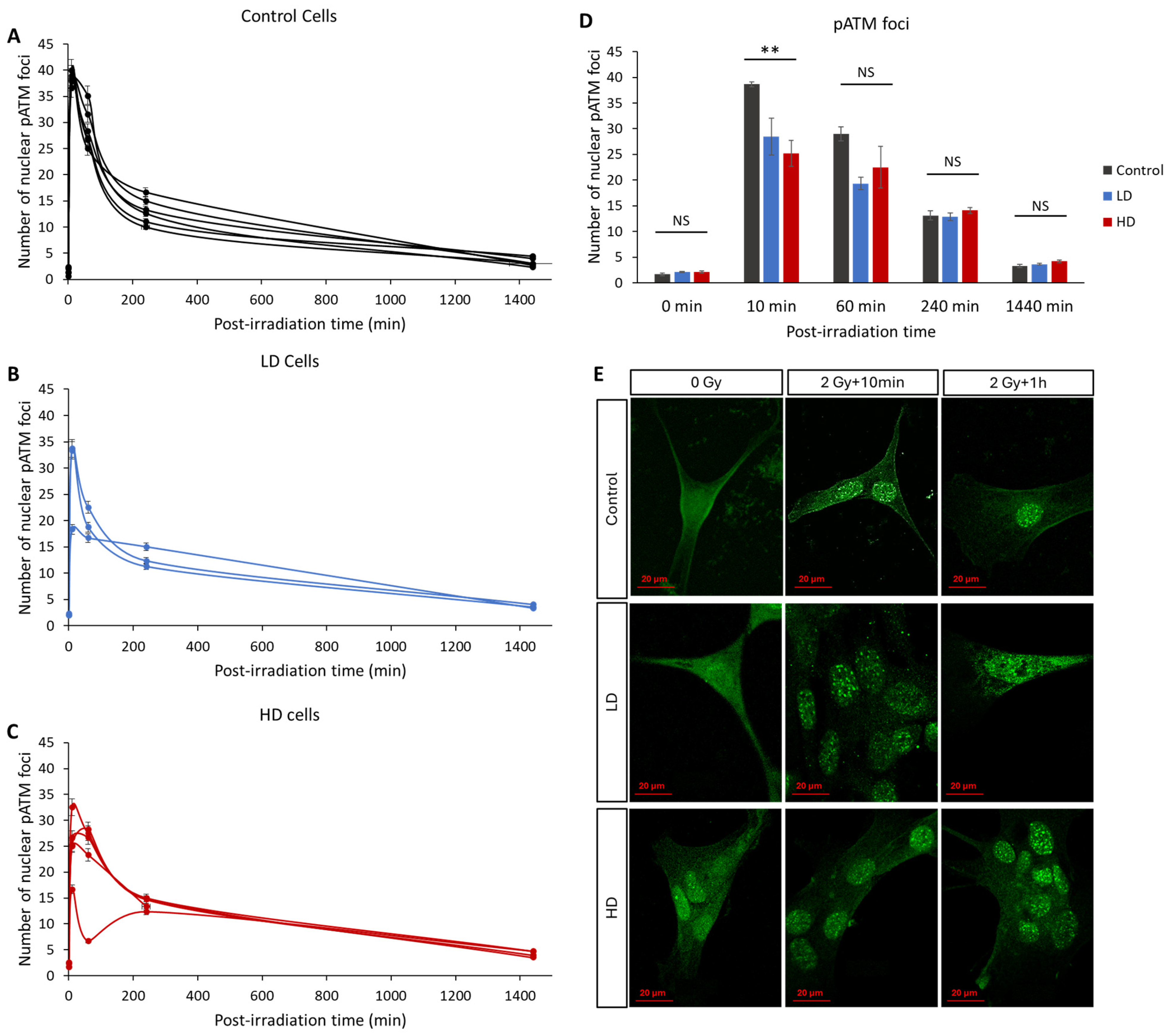 Cancers 16 02968 g005 Cancers 16 02968 g005