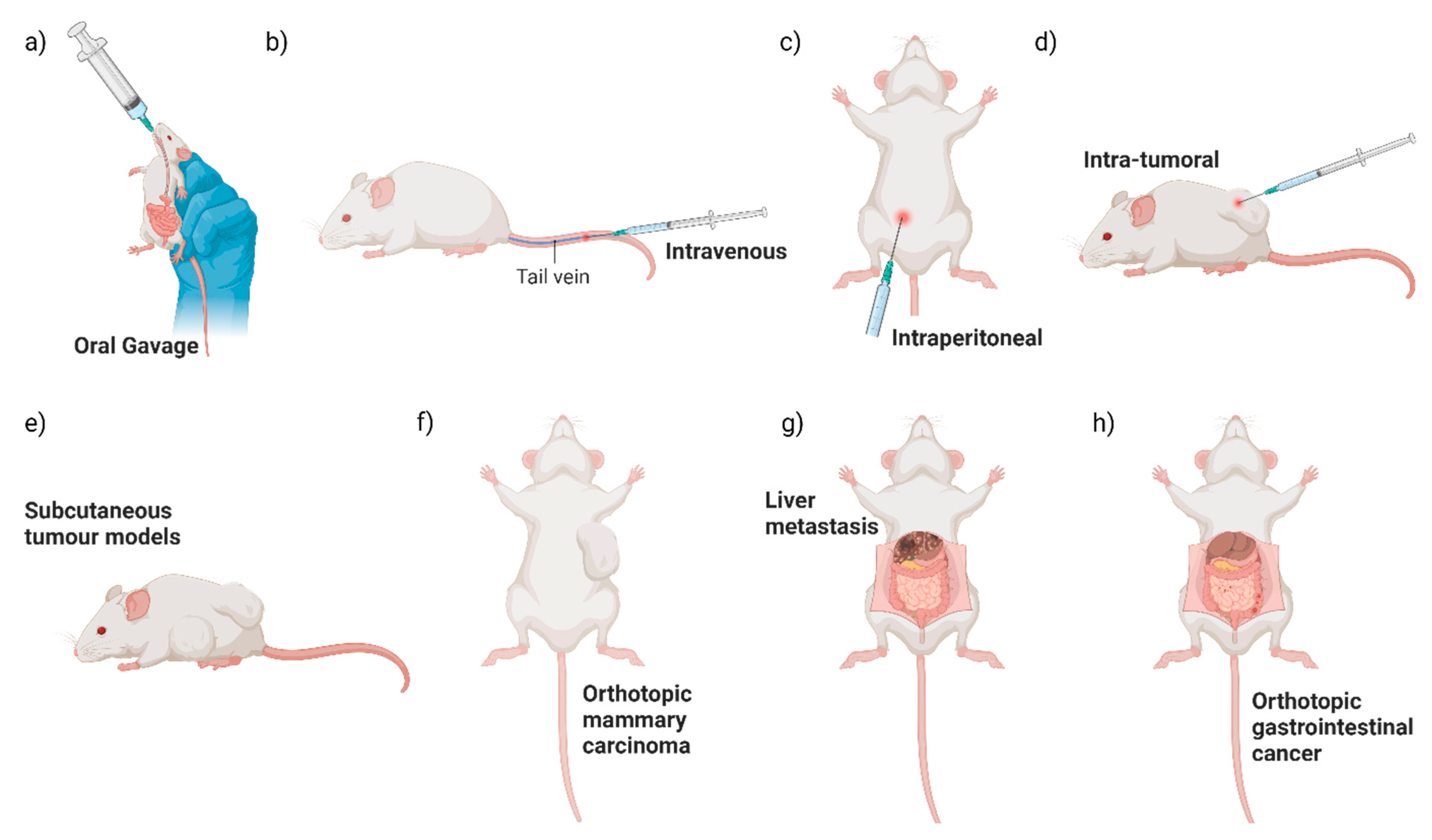 Cancers 16 02971 g002