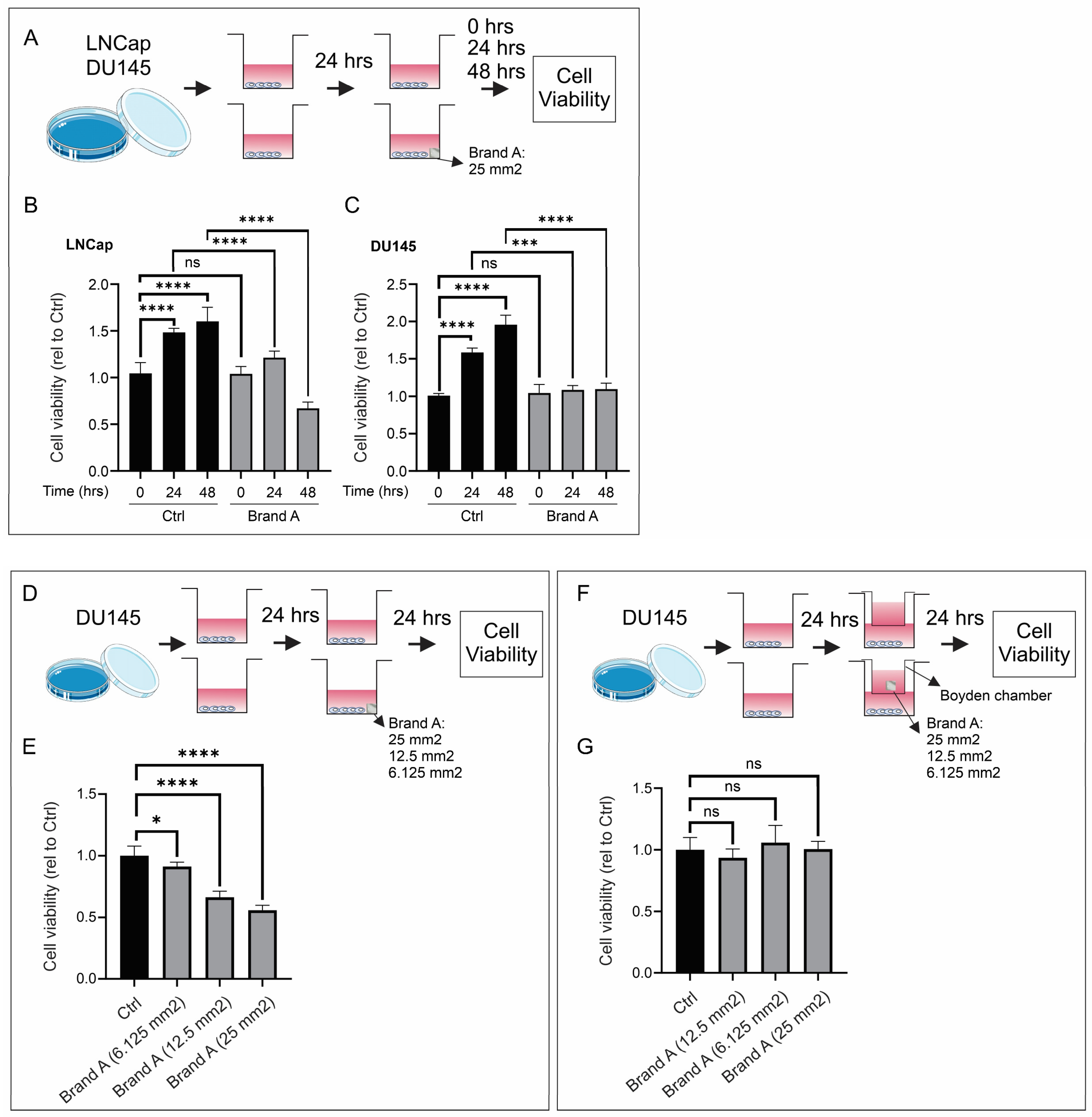 Cancers 16 02973 g003