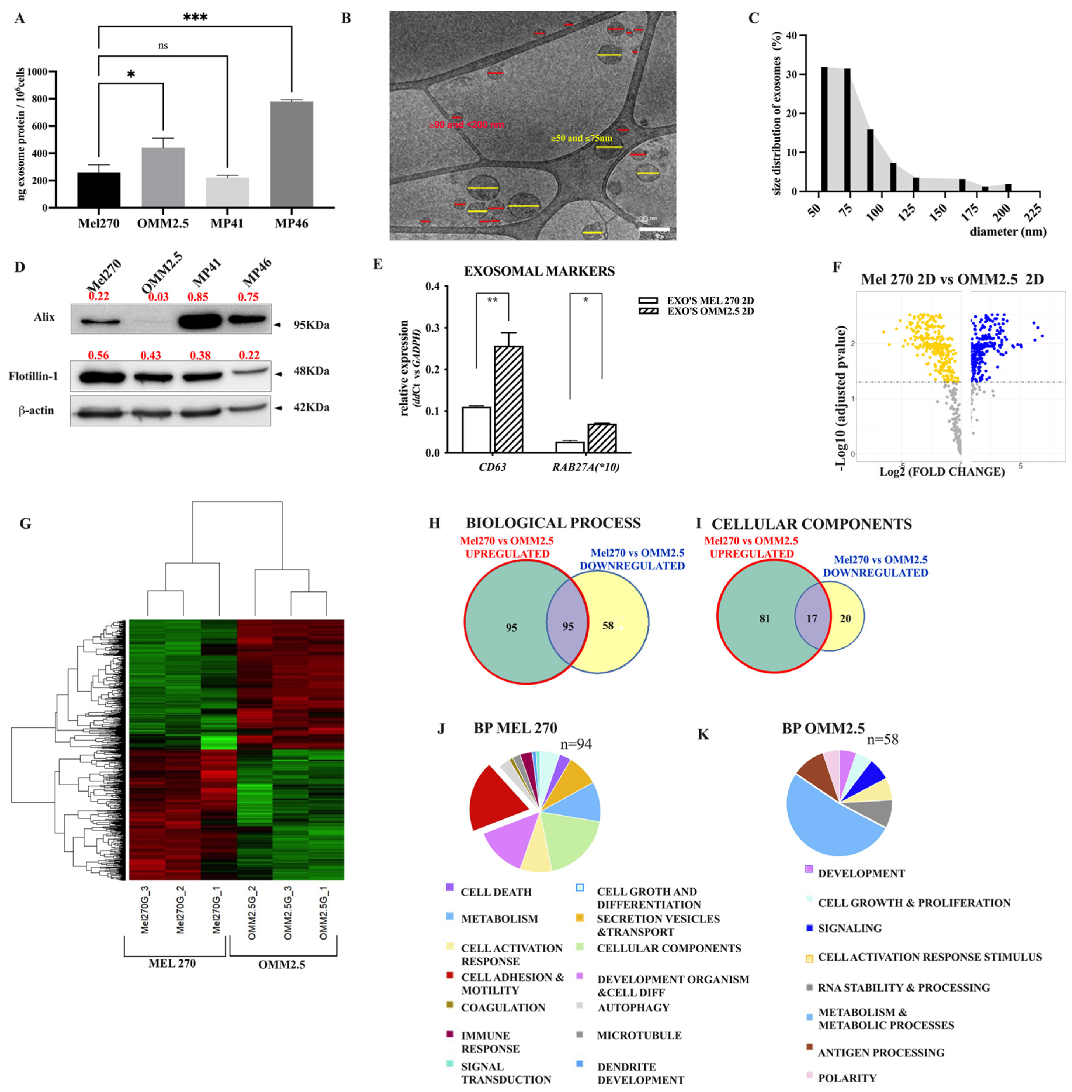 Cancers 16 02977 g001
