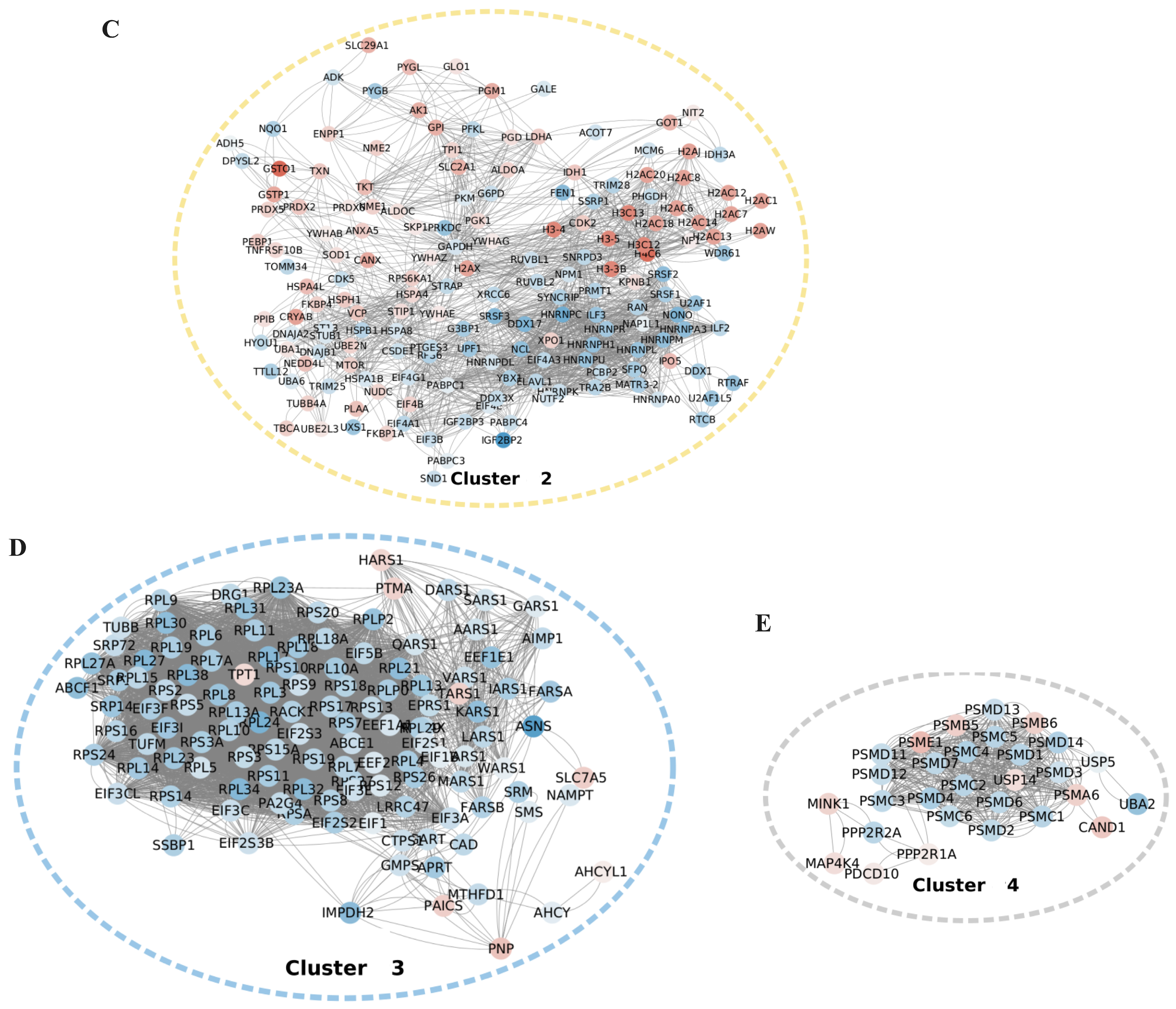 Cancers 16 02977 g002b