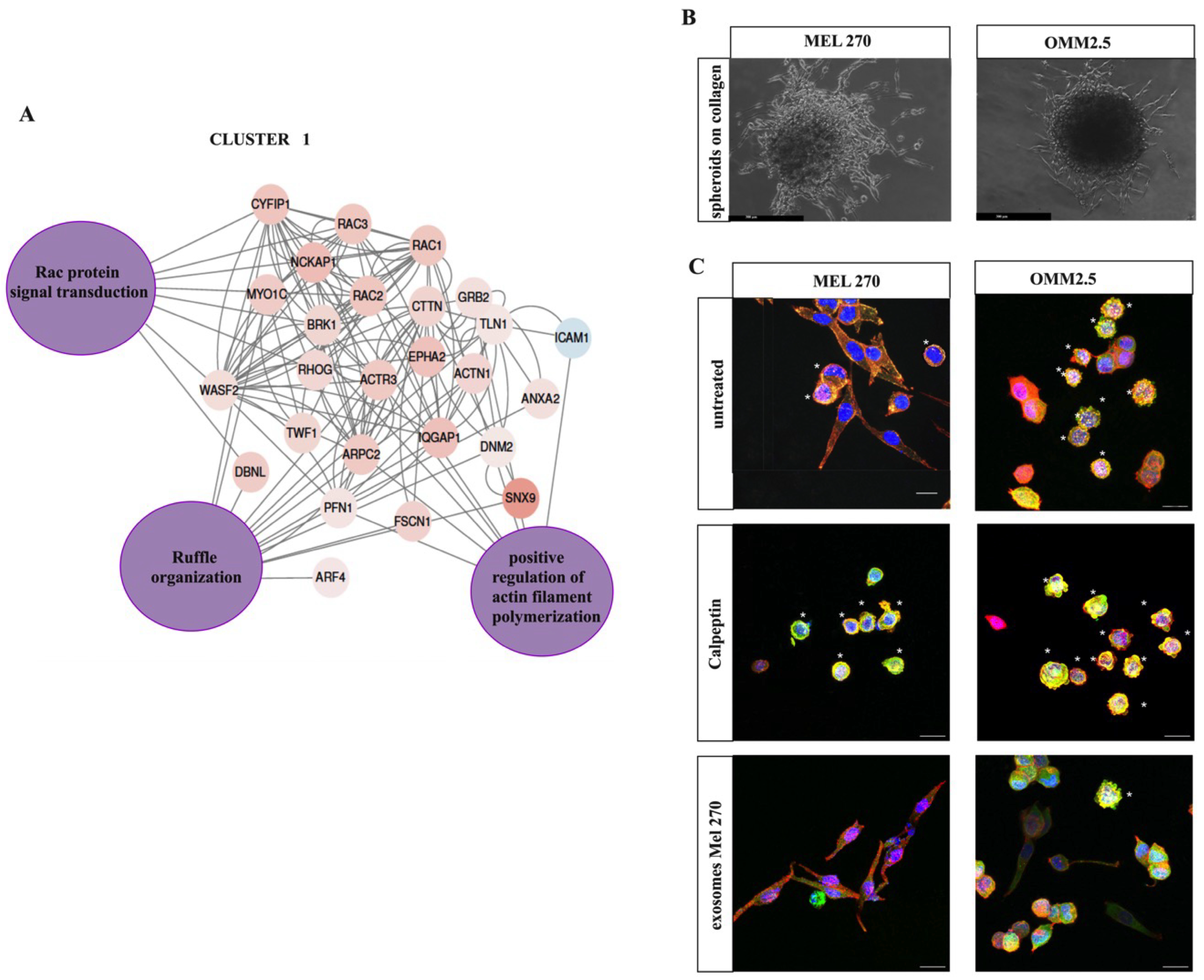 Cancers 16 02977 g003a