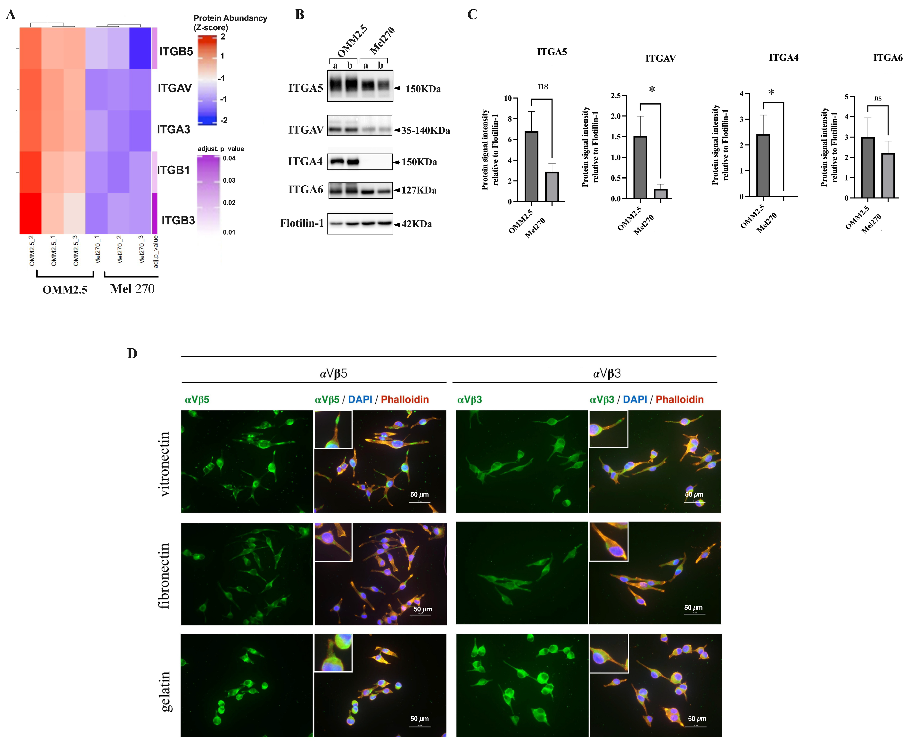 Cancers 16 02977 g004
