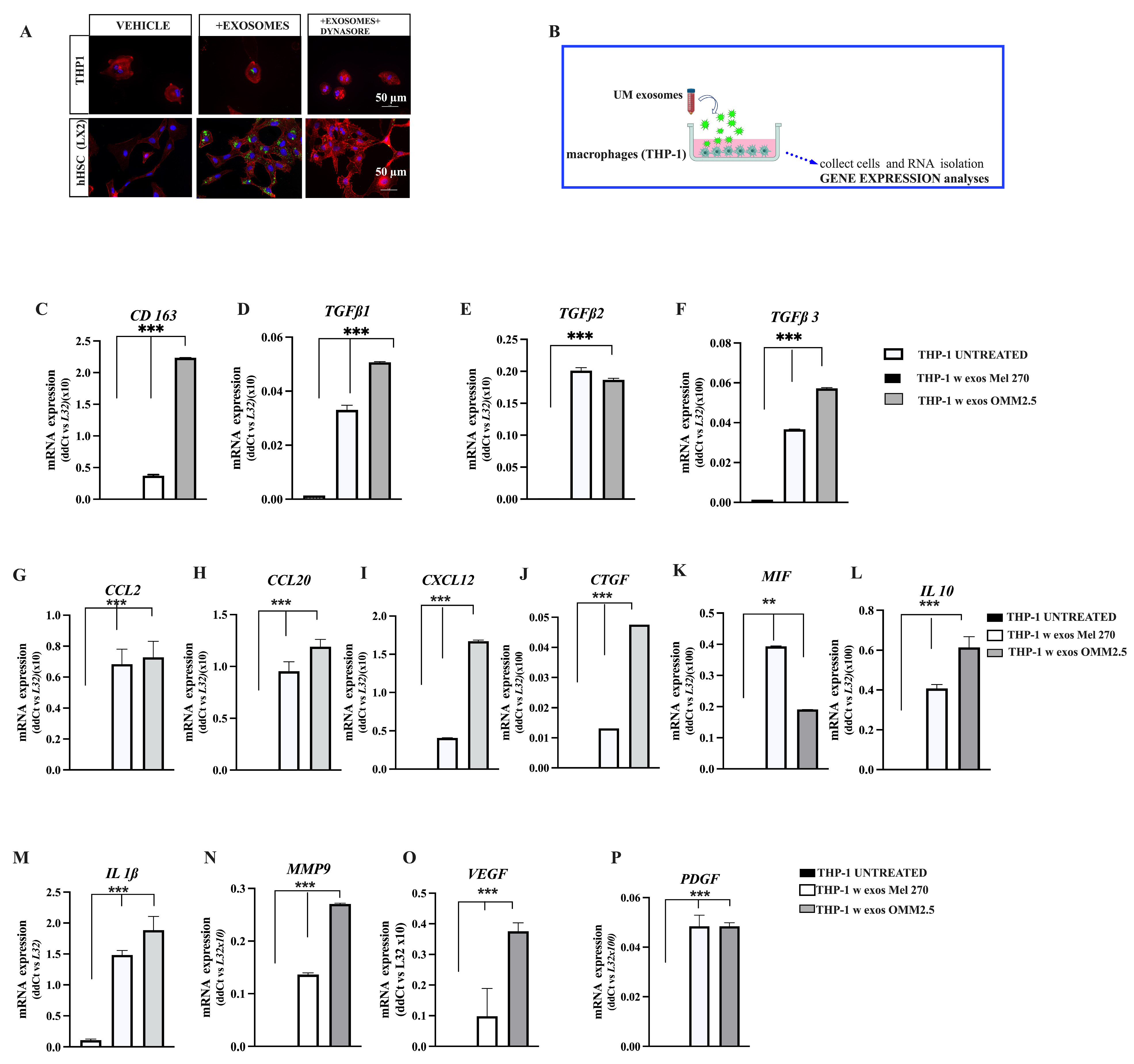Cancers 16 02977 g005