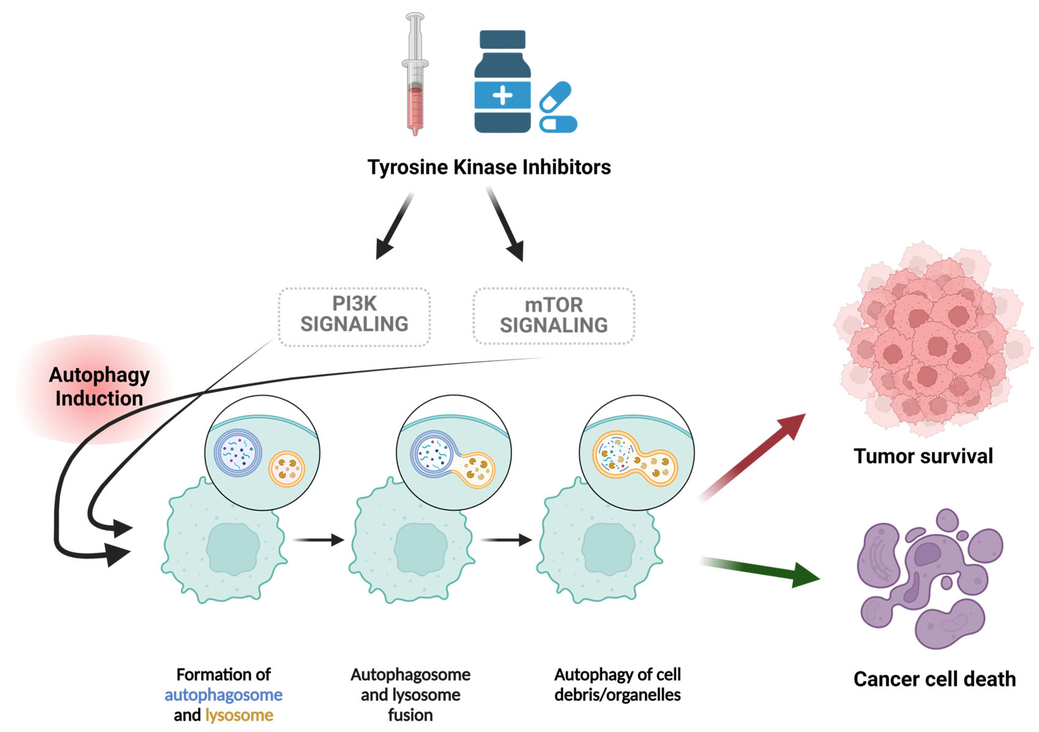 Cancers 16 02989 g002