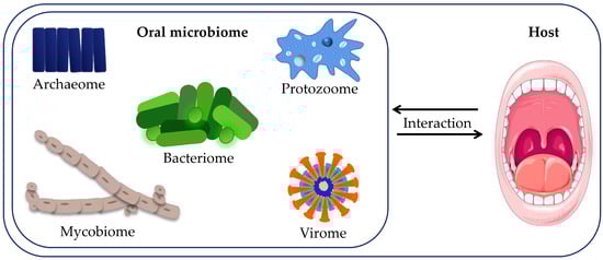 Cancers 16 02997 g001