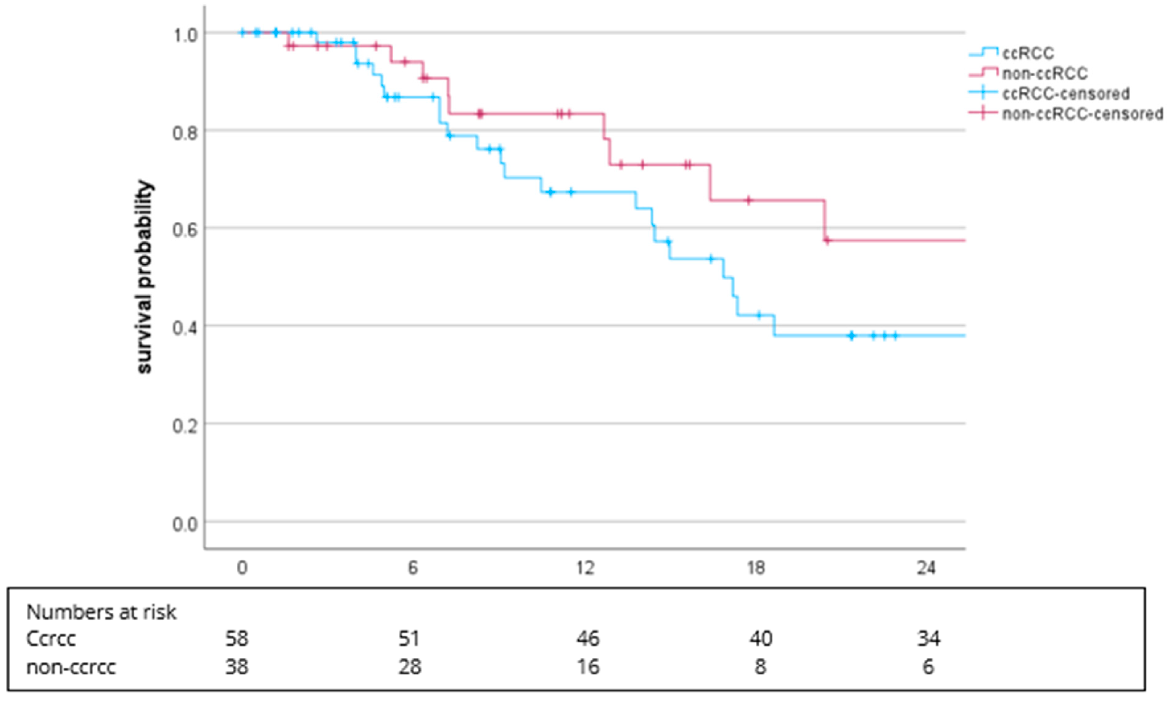 Cancers 16 02998 g004
