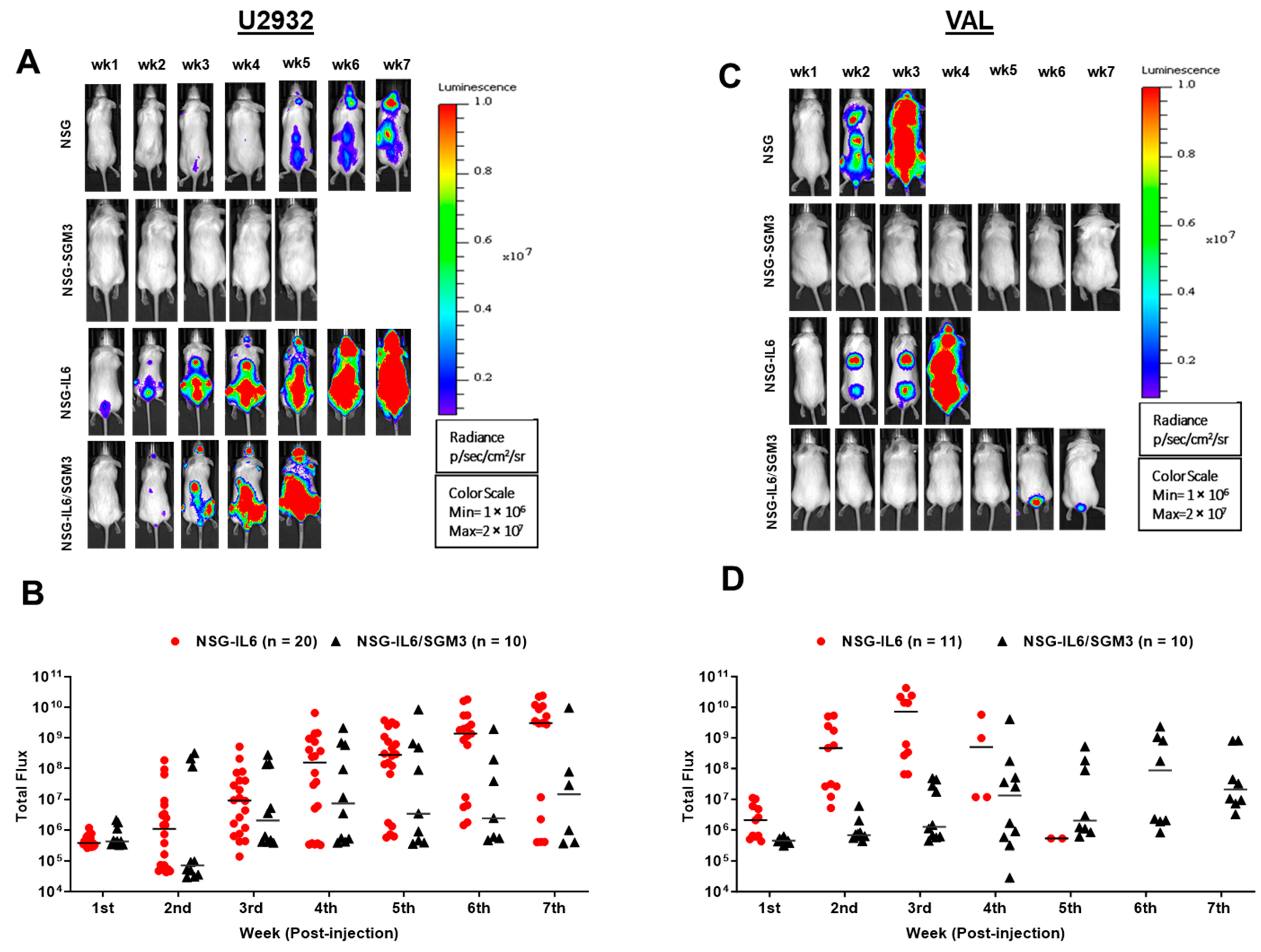 Cancers 16 03006 g001