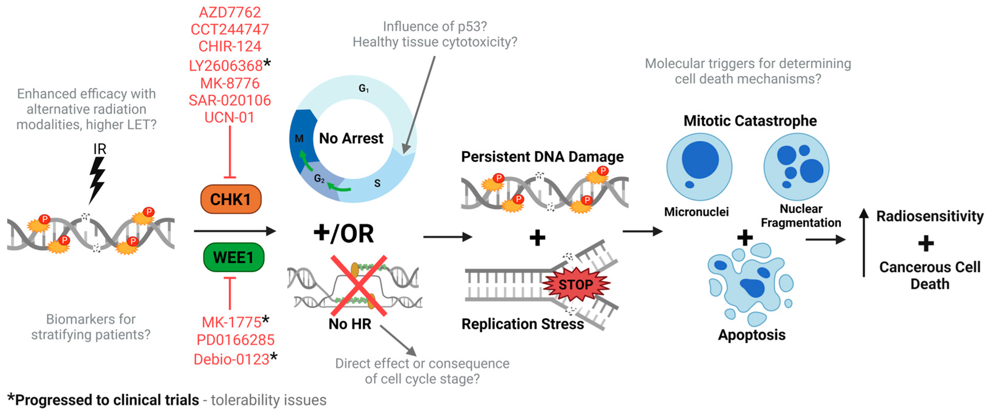 Cancers 16 03016 g003 Cancers 16 03016 g003