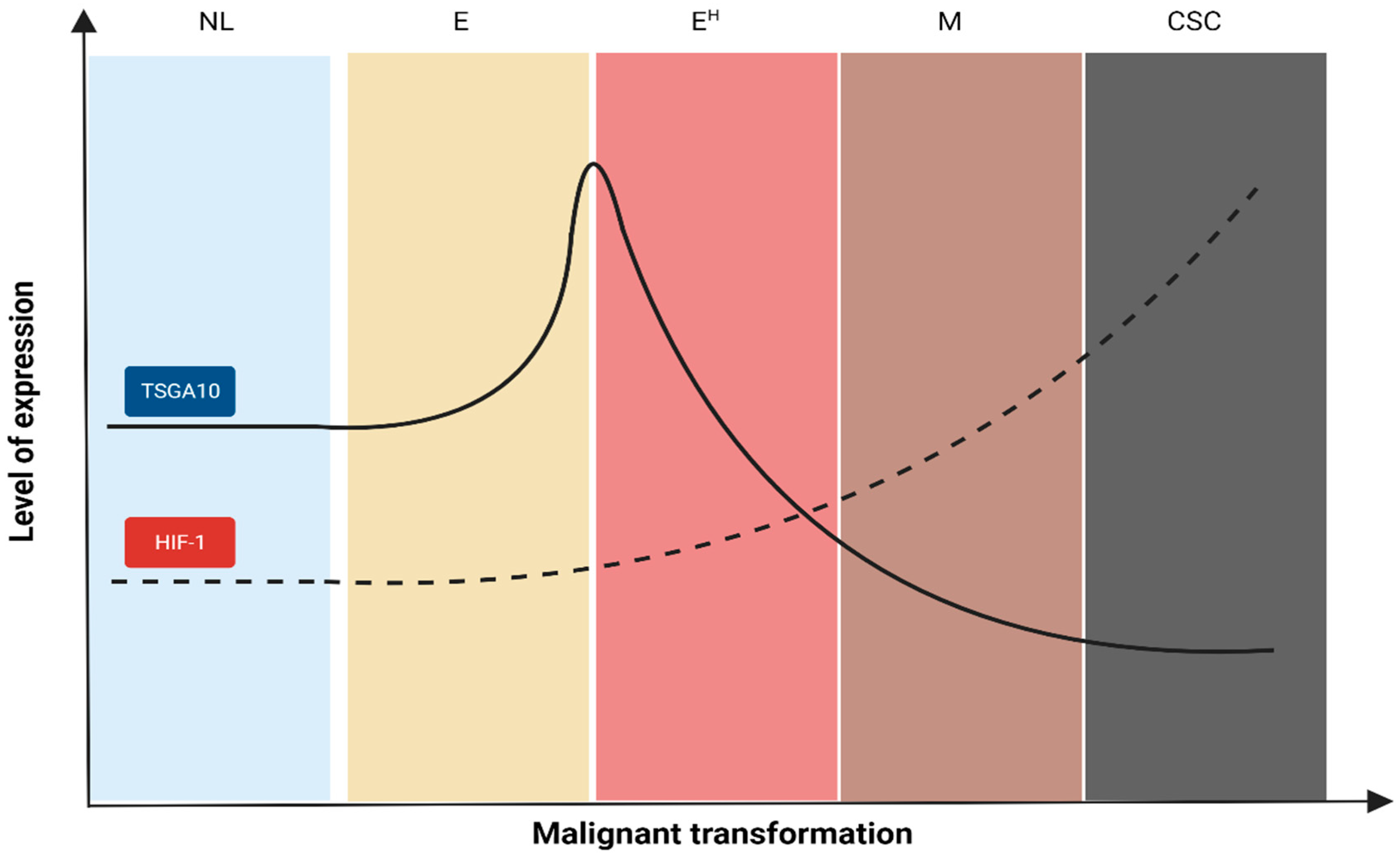 Cancers 16 03044 g003 Cancers 16 03044 g003
