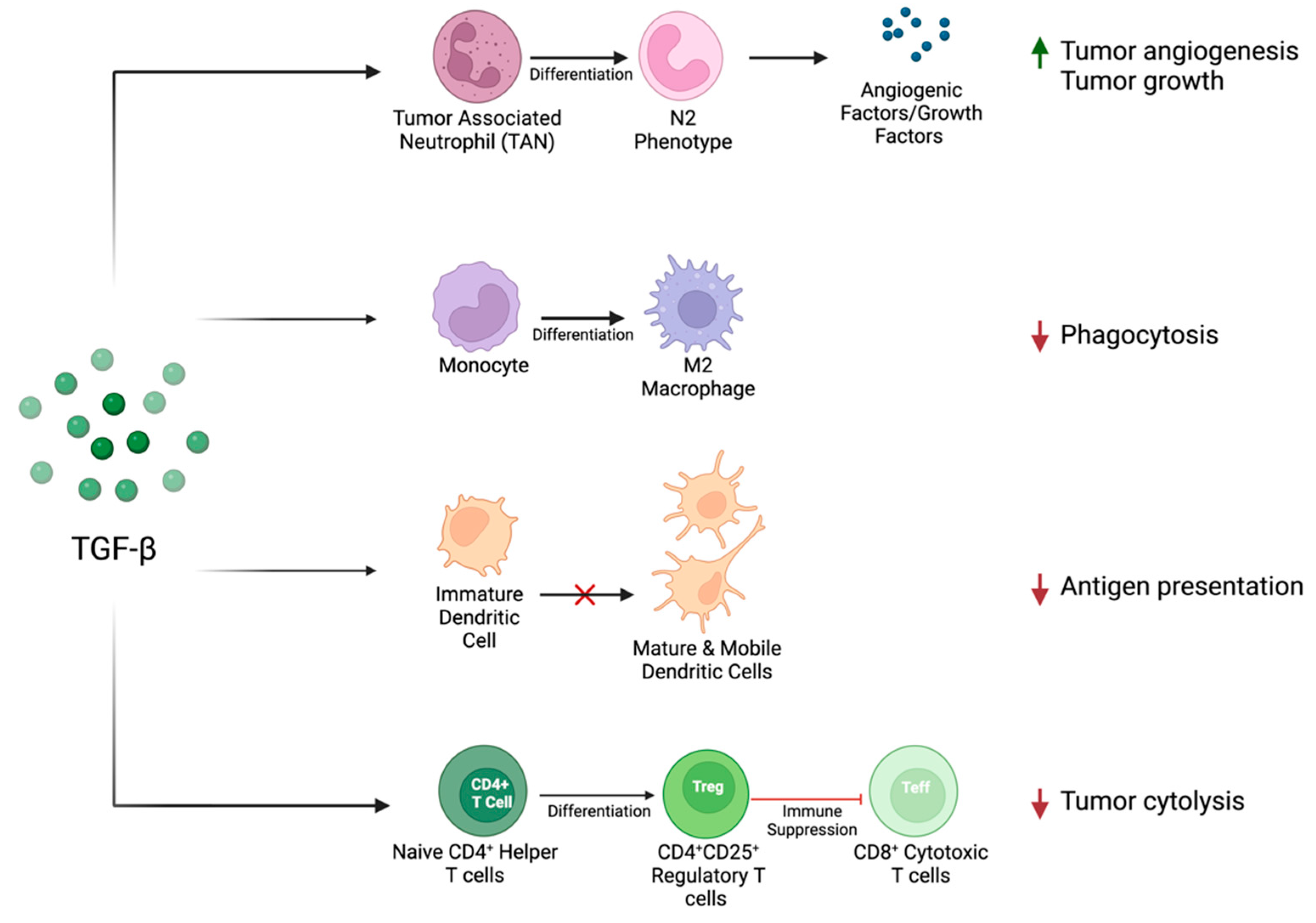 Cancers 16 03047 g002