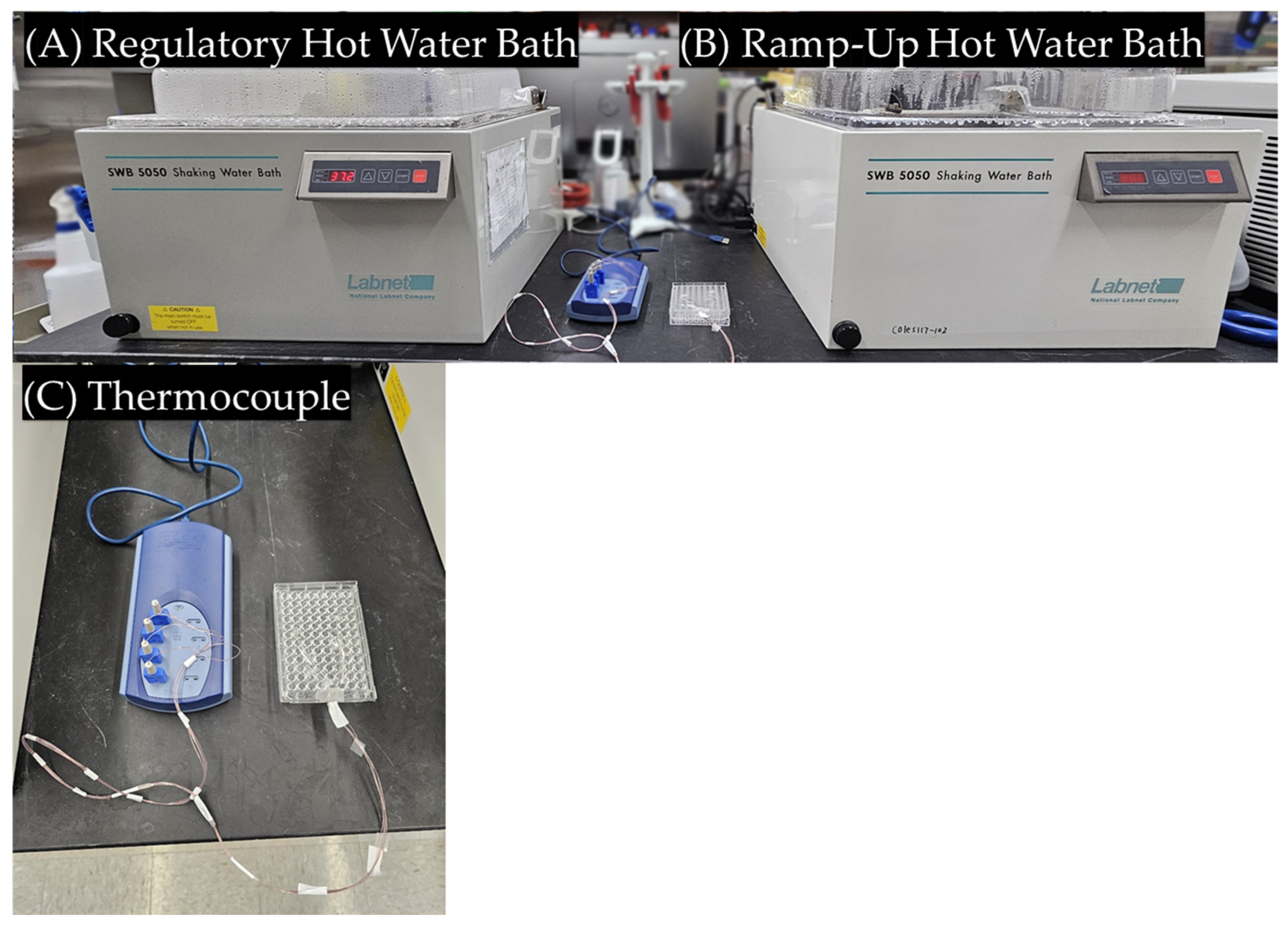 Cancers 16 03048 g001