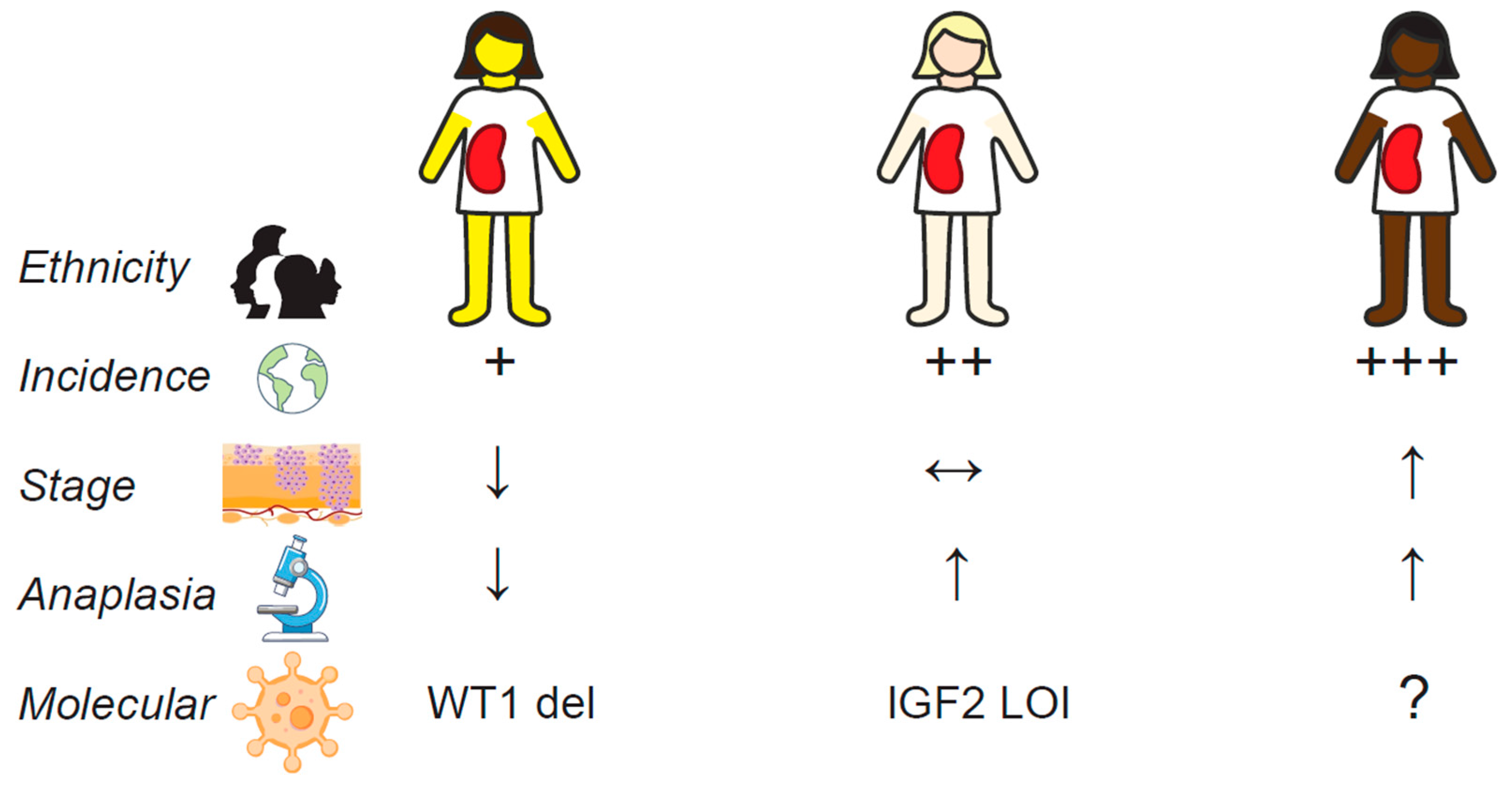 Cancers 16 03051 g002