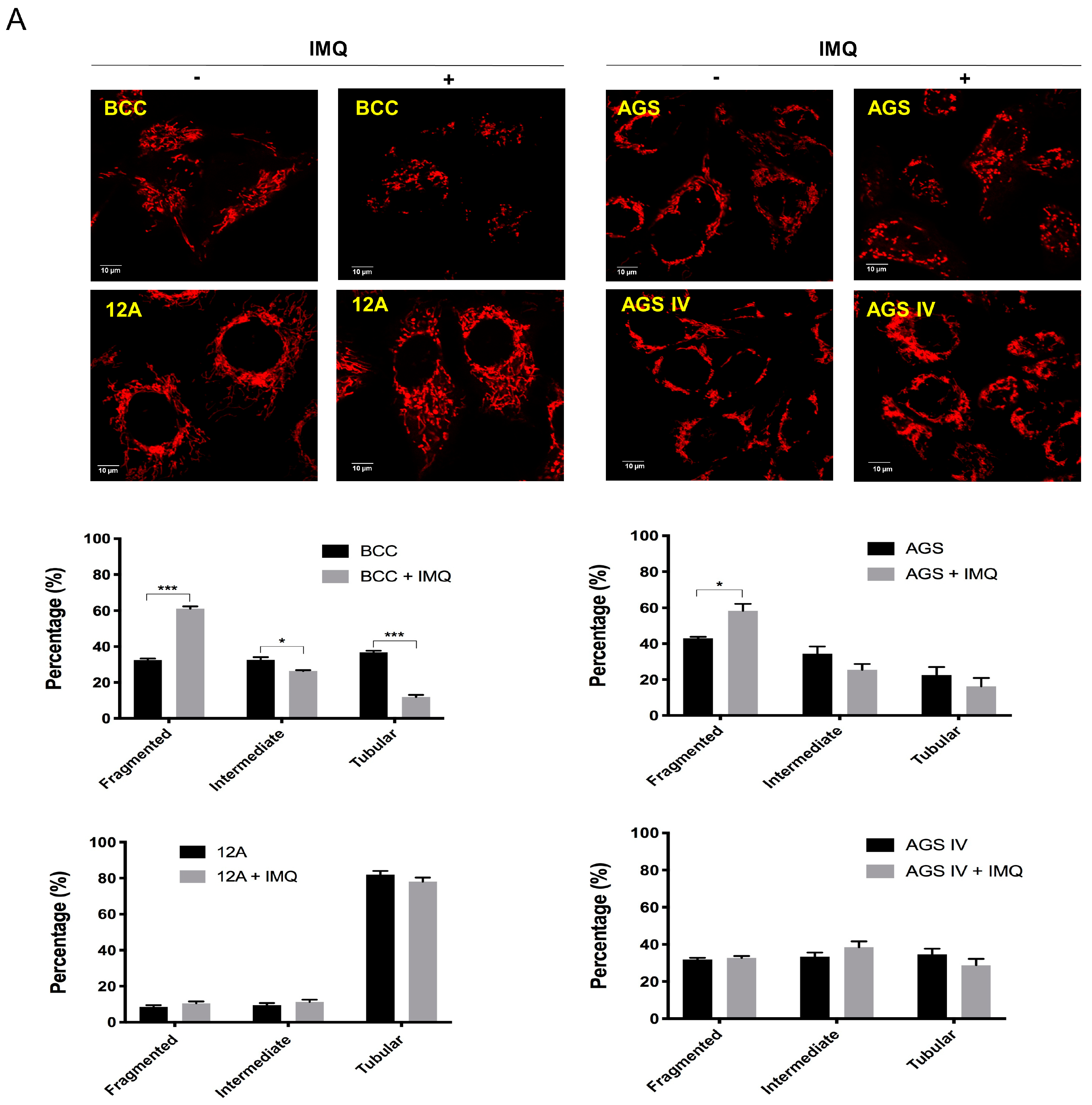 Cancers 16 03060 g004a