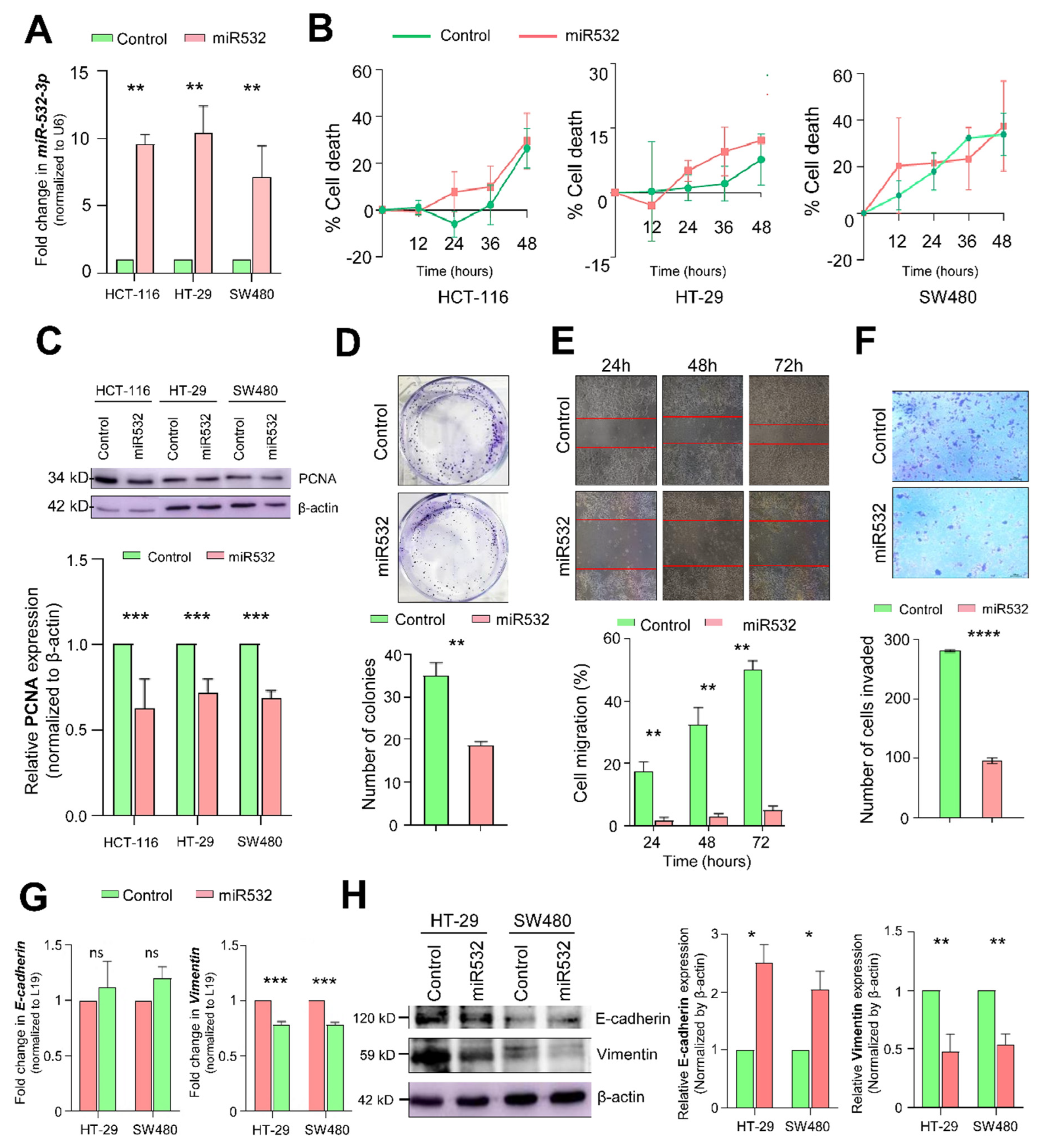 Cancers 16 03061 g003