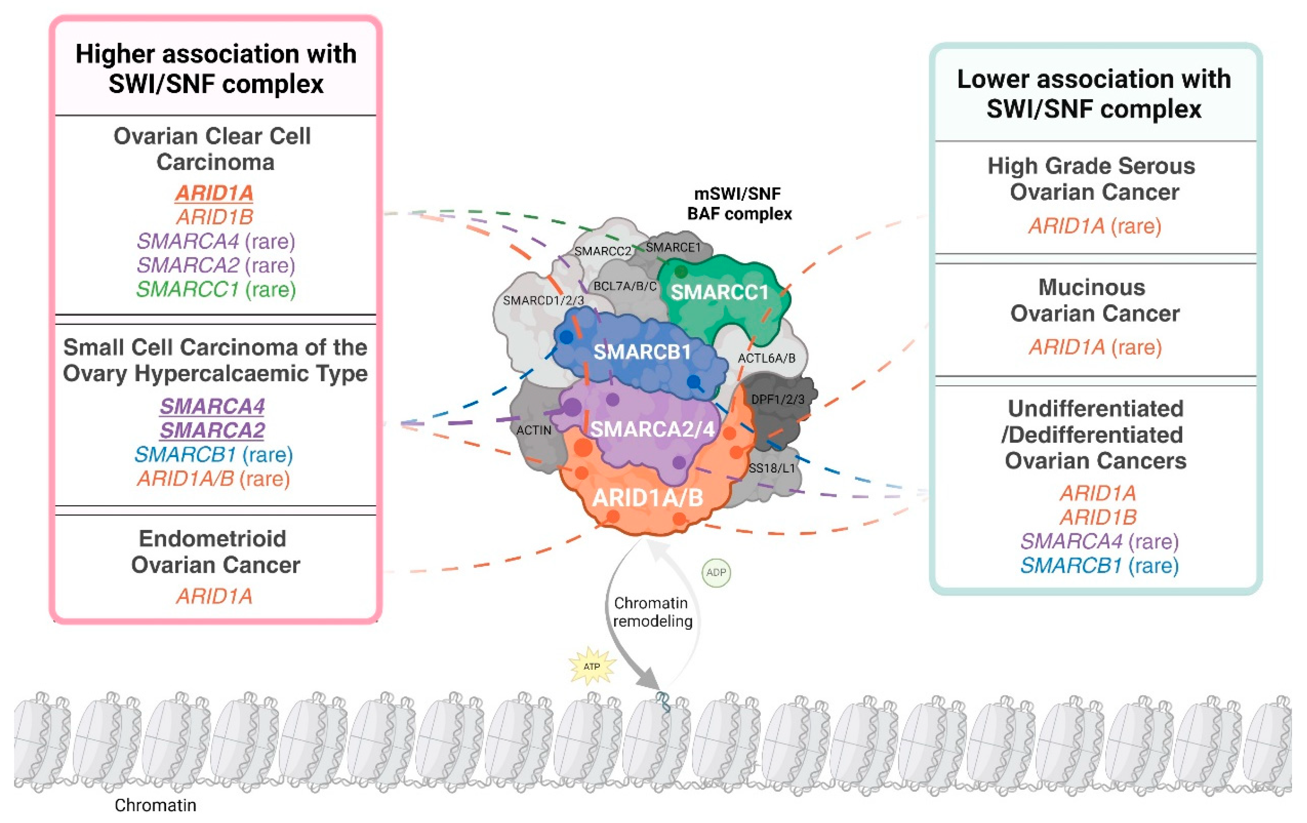Cancers 16 03068 g001
