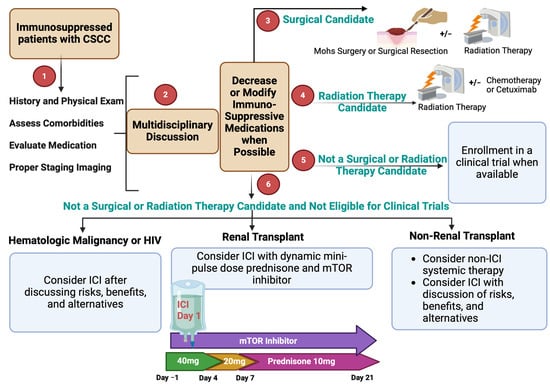 Cancers 16 03083 g003